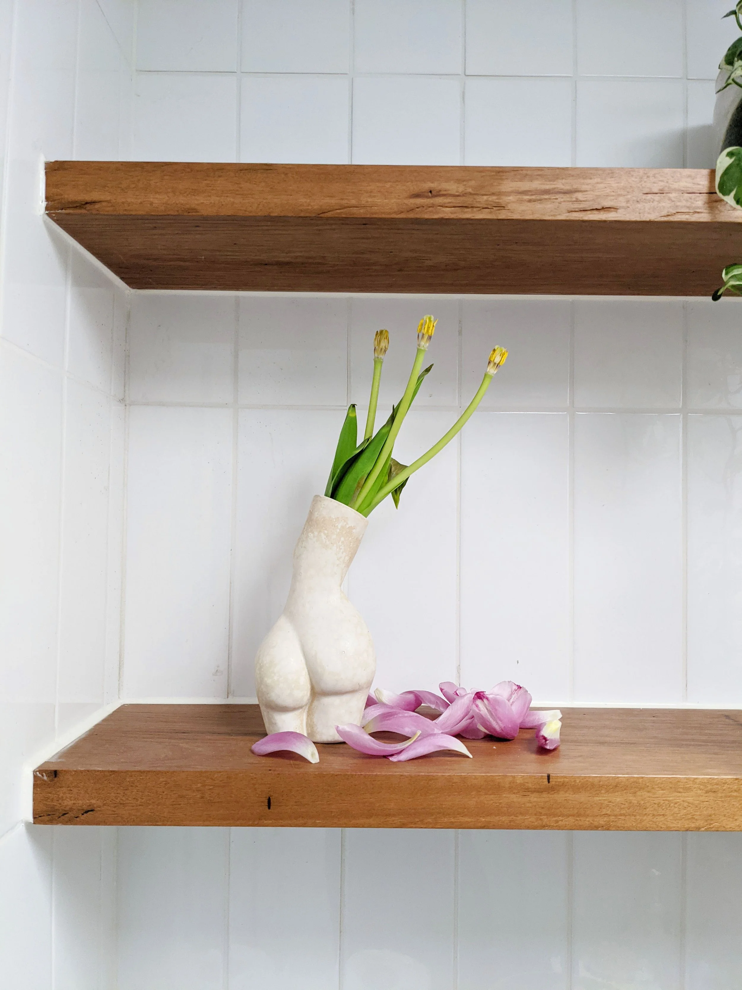 PXL_20210816_010840952 copy.jpg