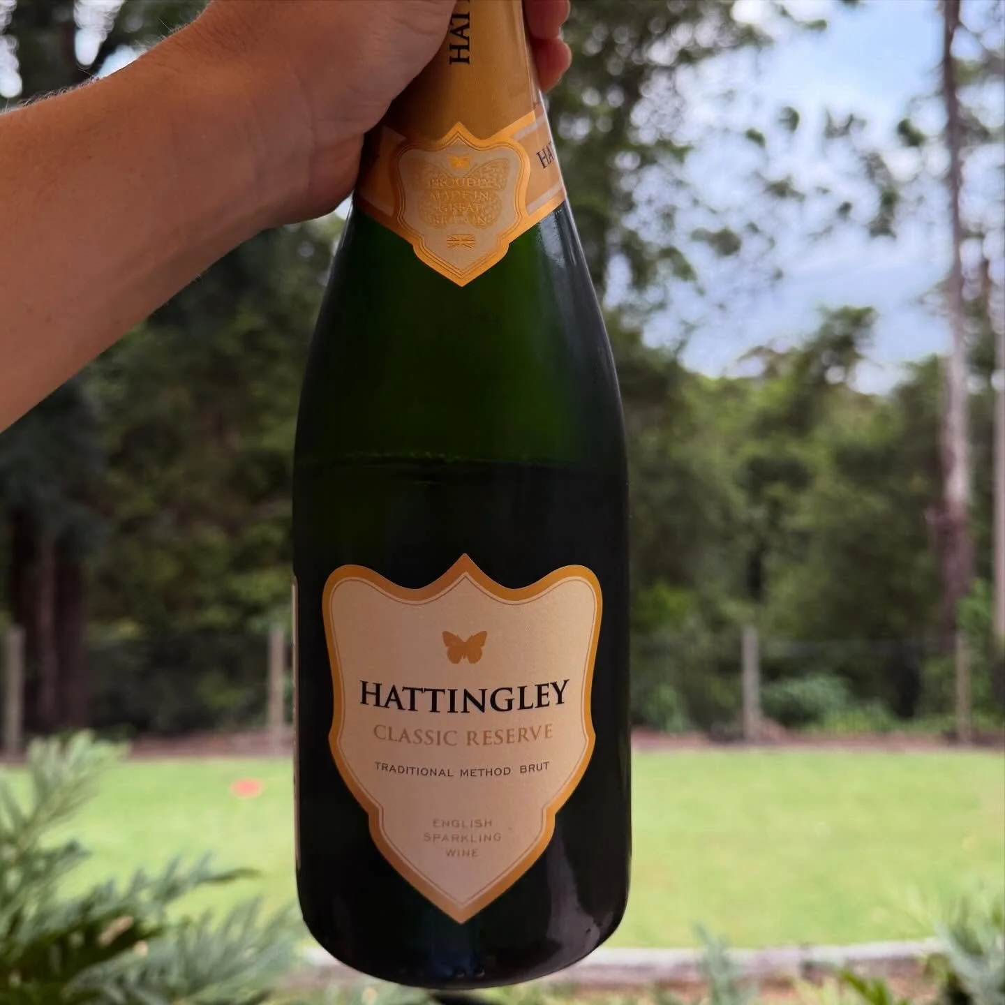 Global warming means the UK isn&rsquo;t just cold and wet anymore&hellip; it&rsquo;s getting warmer and sunnier ☀️👀
In fact, southern England&rsquo;s climate now closely mirrors Champagne 50 years ago &mdash; making it perfect for growing Pinot Noir