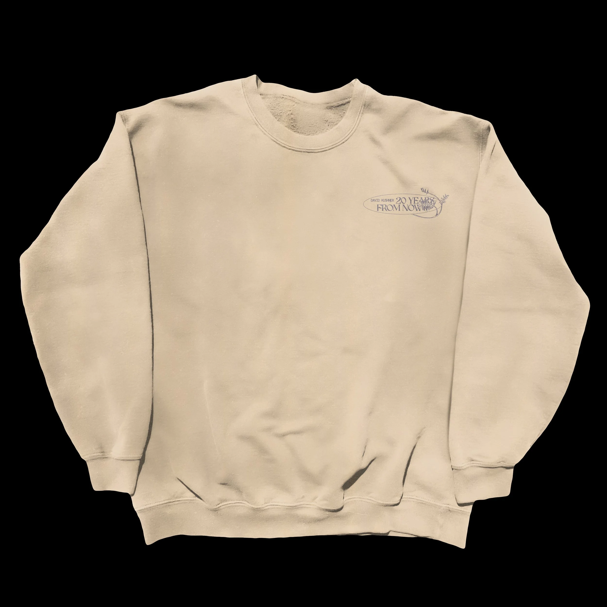 Beige crewneck sweatshirt with small blue text on the upper left chest that reads '20 Years From Now' and 'David Kusher'.