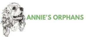 Annie's orphans.jpeg