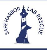 Safe+Harbor+Lab+Rescue.jpeg