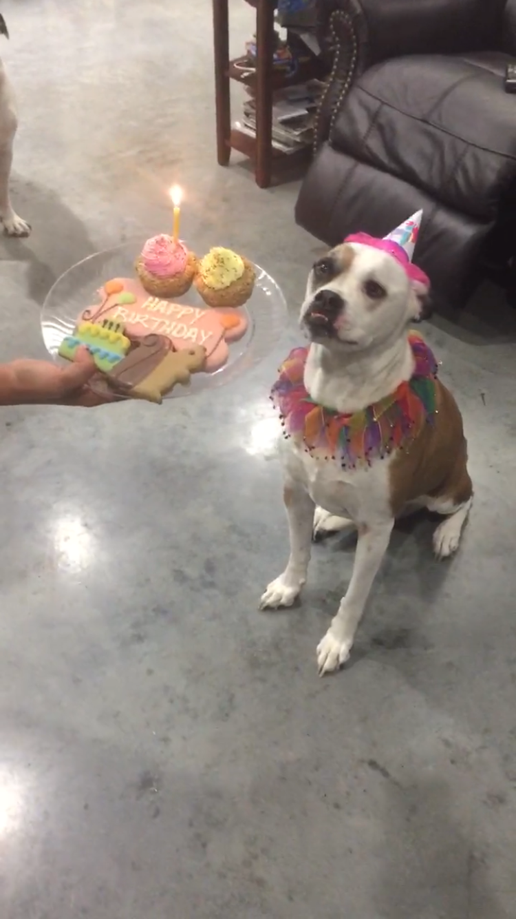 PHOTO BY Amanda Fernandez-May Afifi