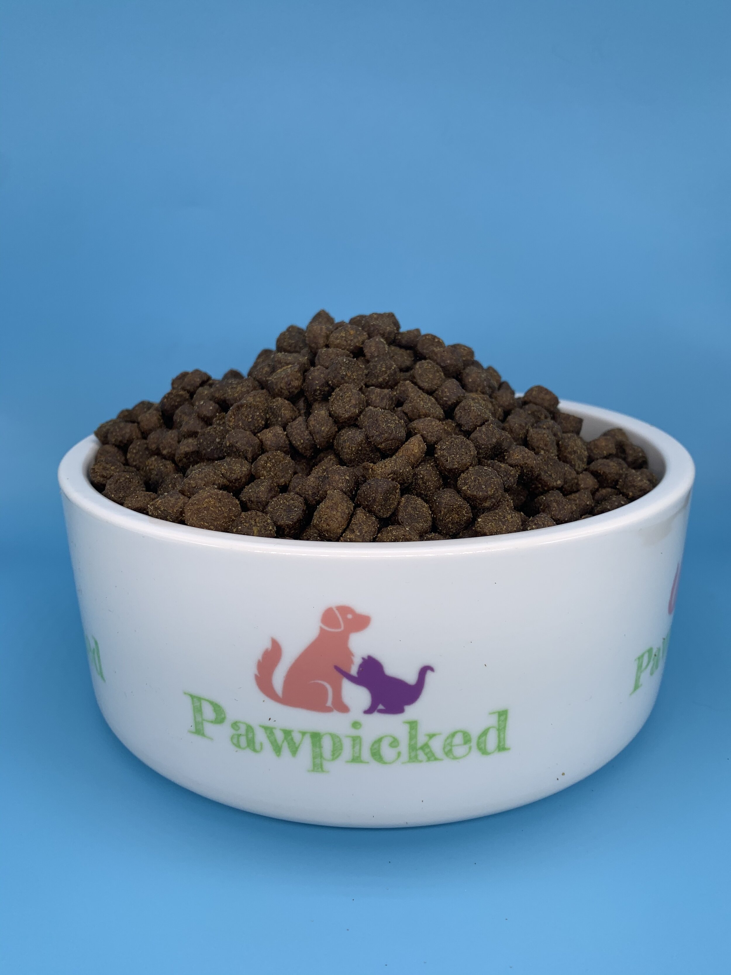 Dog Bowl Full.jpeg