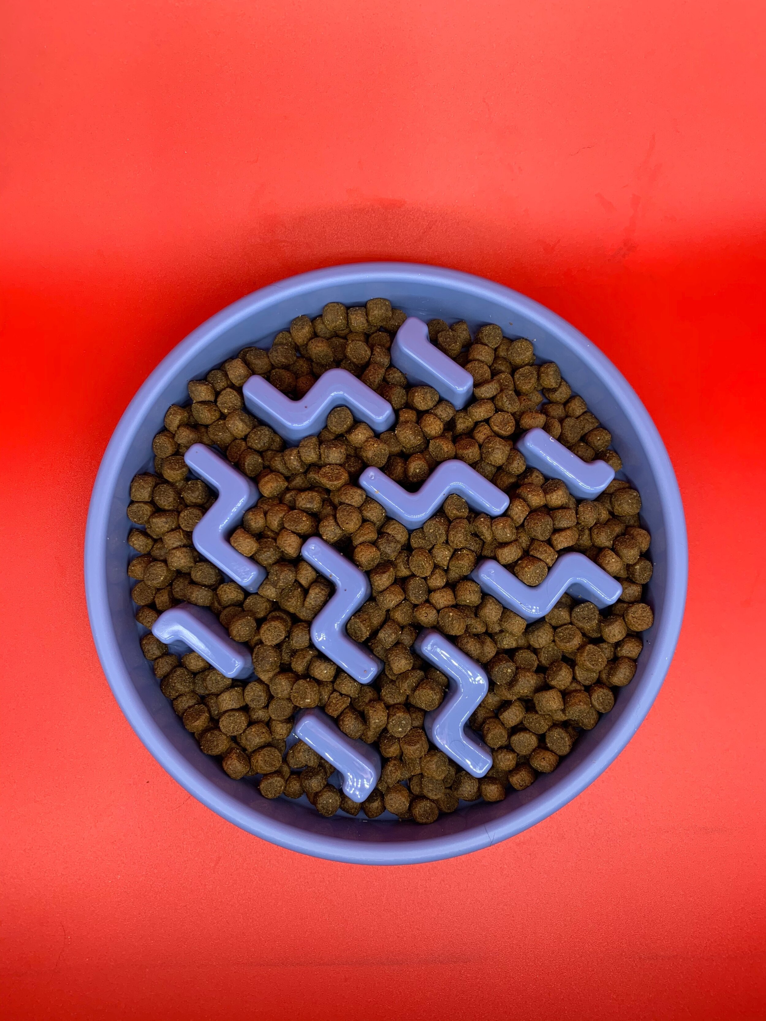 Outward Hound Fun Feeders Large - Blue.jpeg