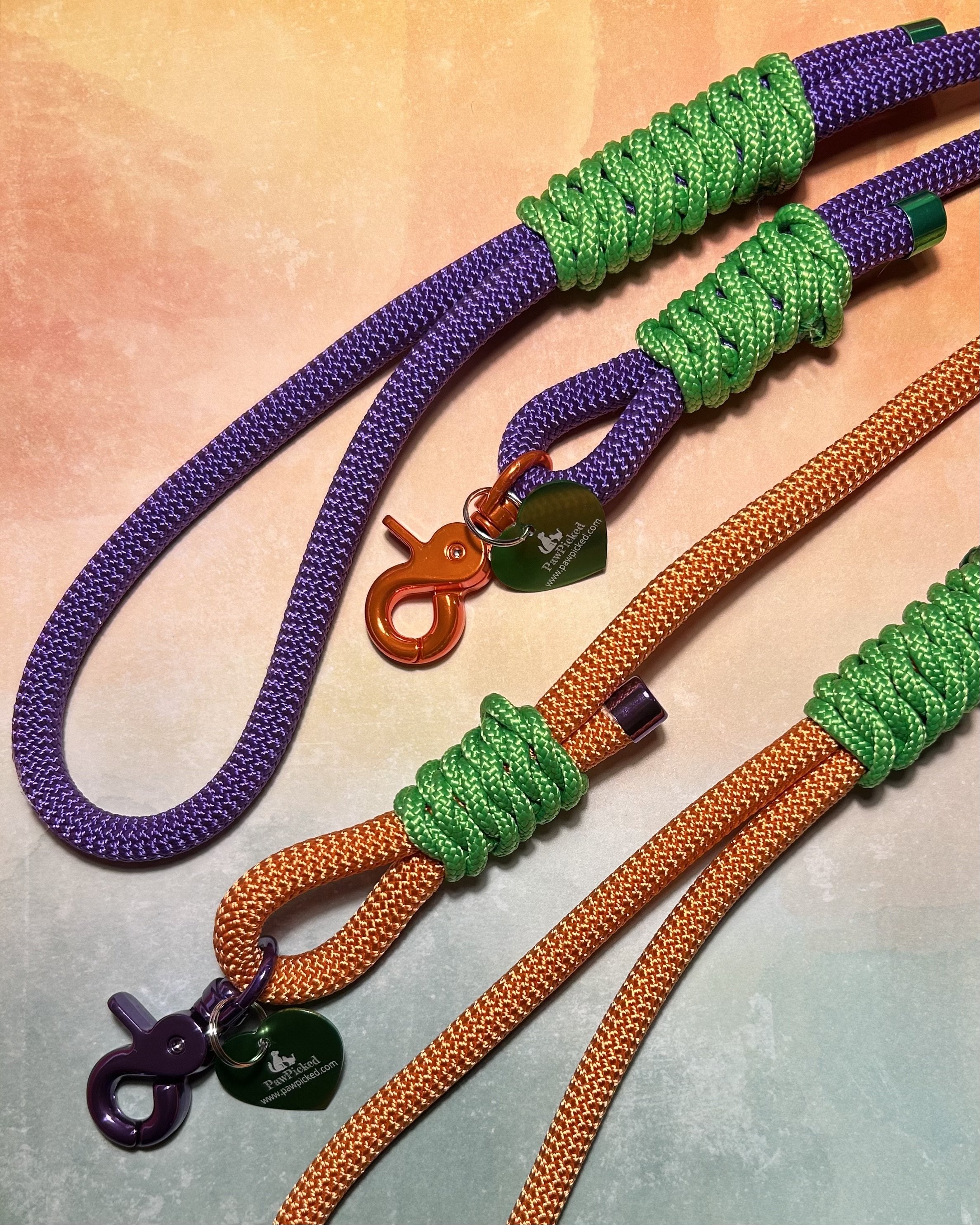 Halloween Leash