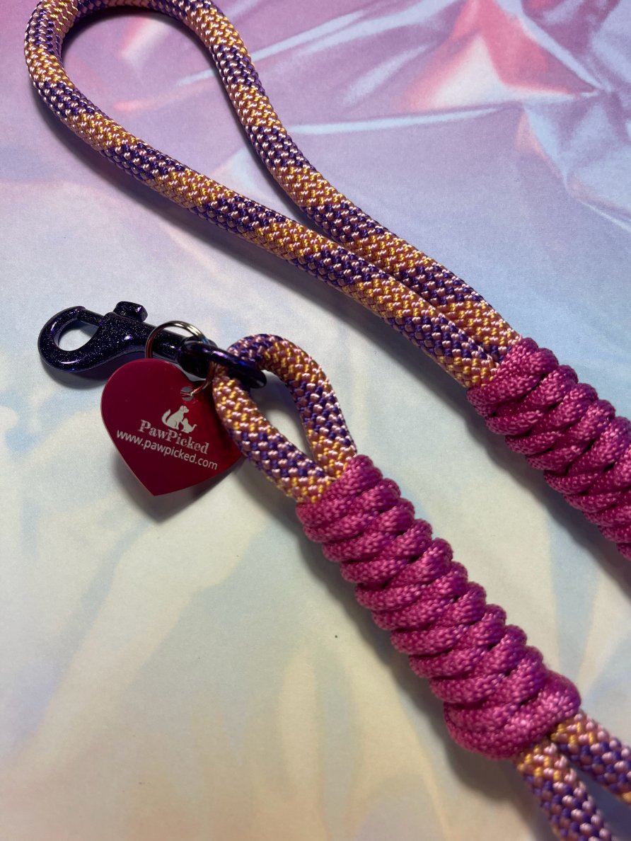 Pink and Purple Stripes Leash