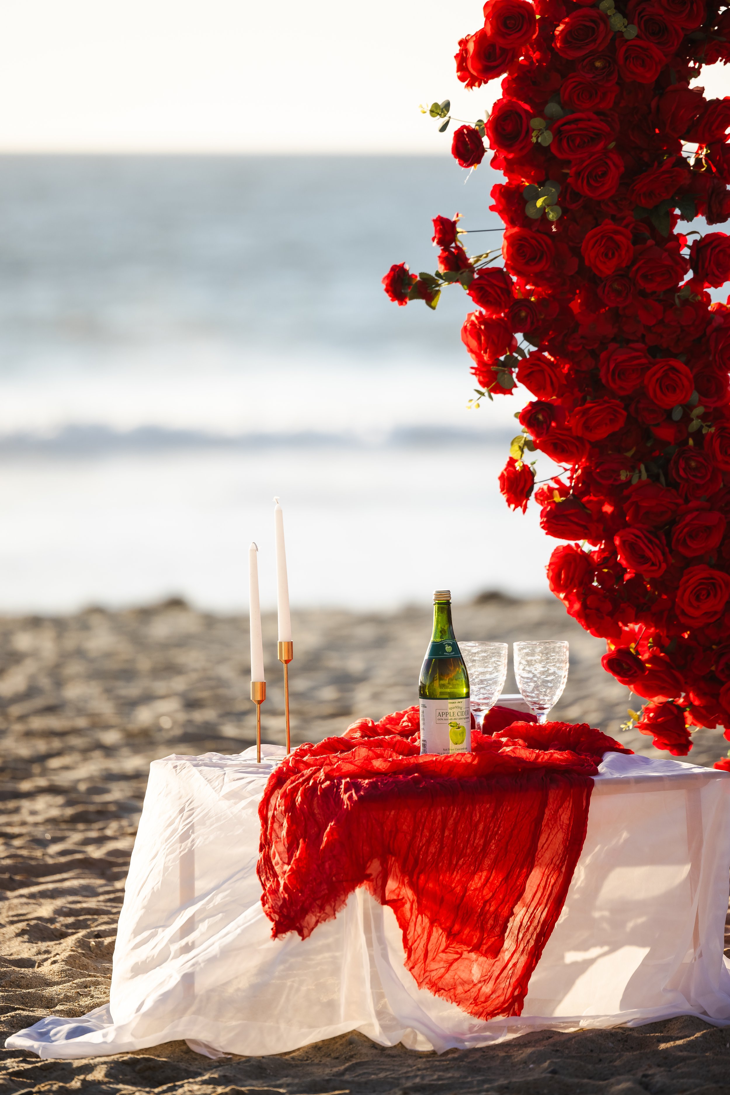 Moonlight-Beach-Proposal-21.jpg