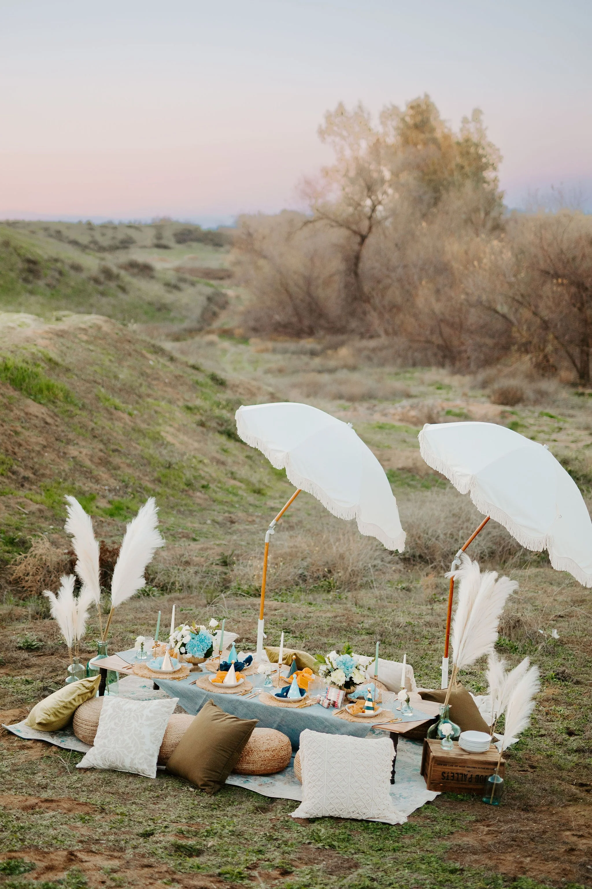 Afternoon Oasis Picnic Winery Picnics Temecula Wine Country Wine