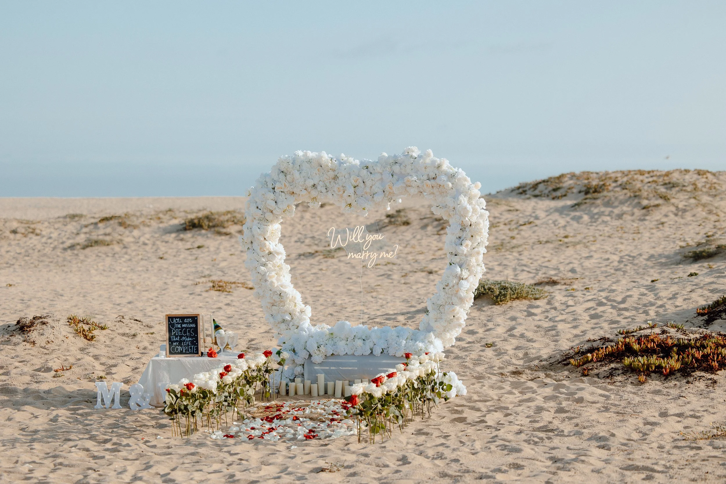 Michael-Proposes-to-Veronika-26.jpg