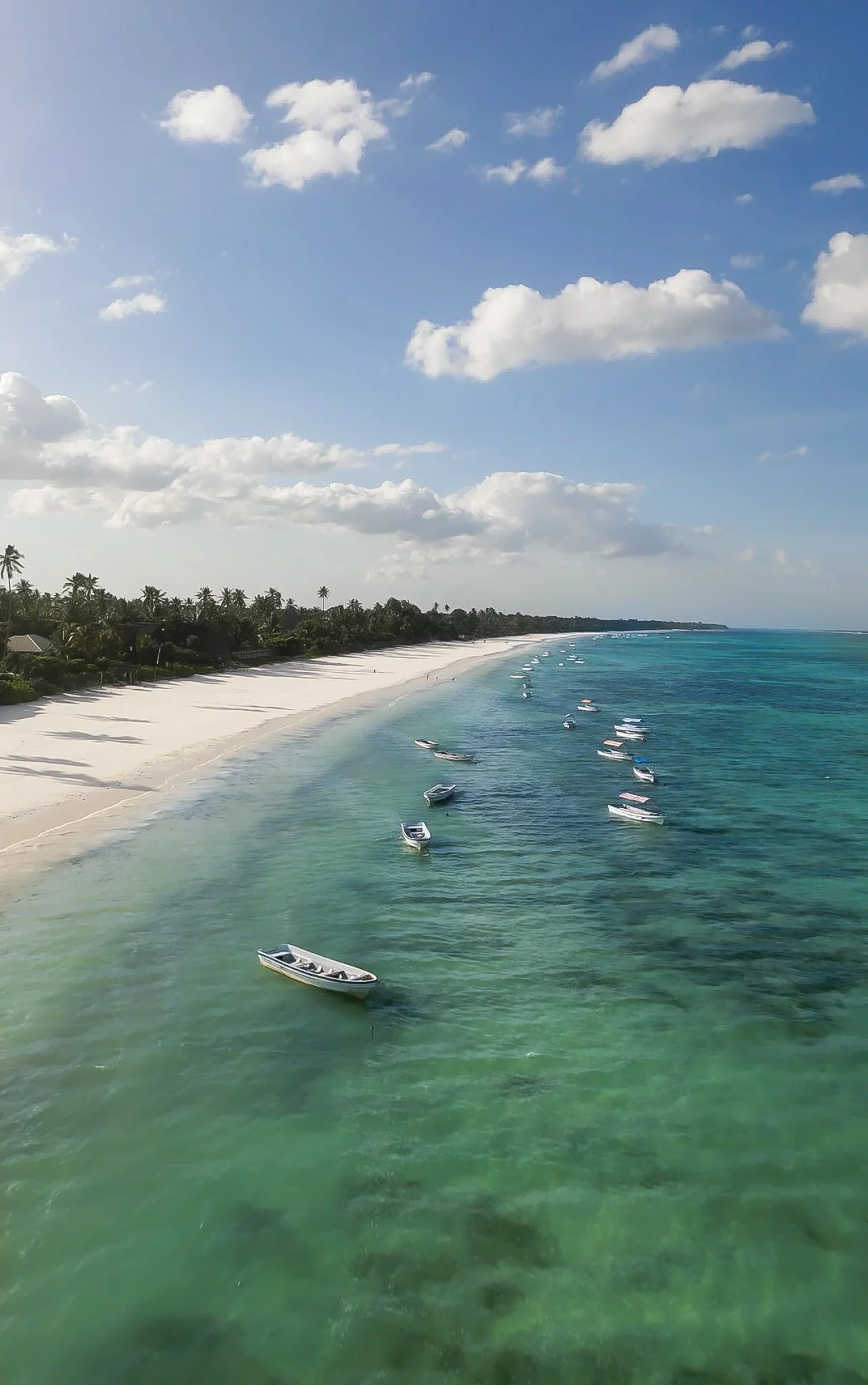 Bird's Eye View - 3.jpeg