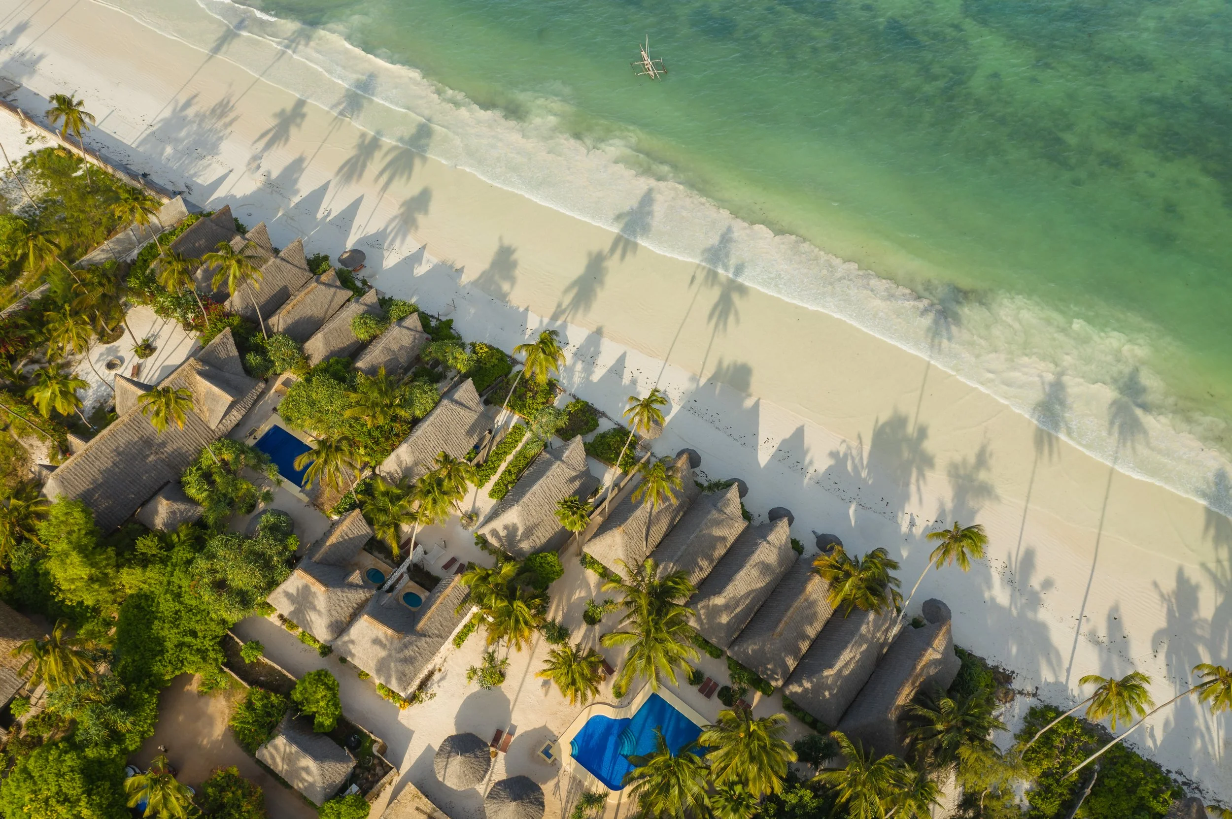 Bird's Eye View.jpg