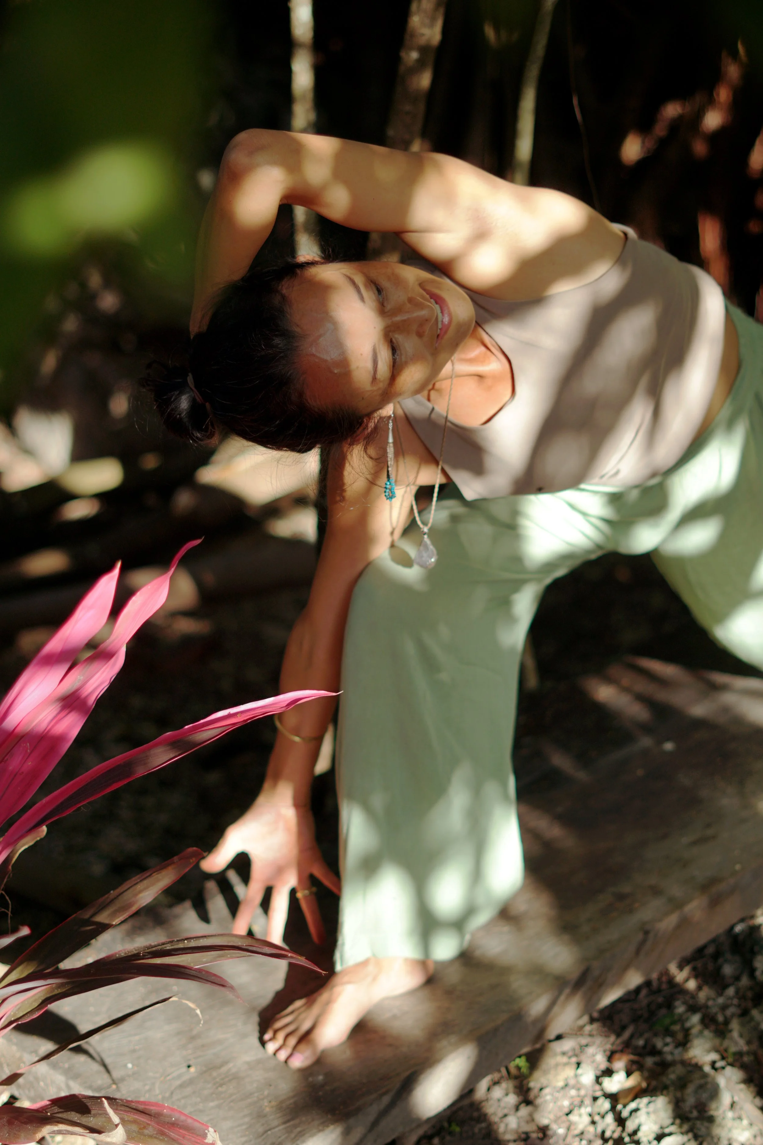 Journey Through Five Elements 