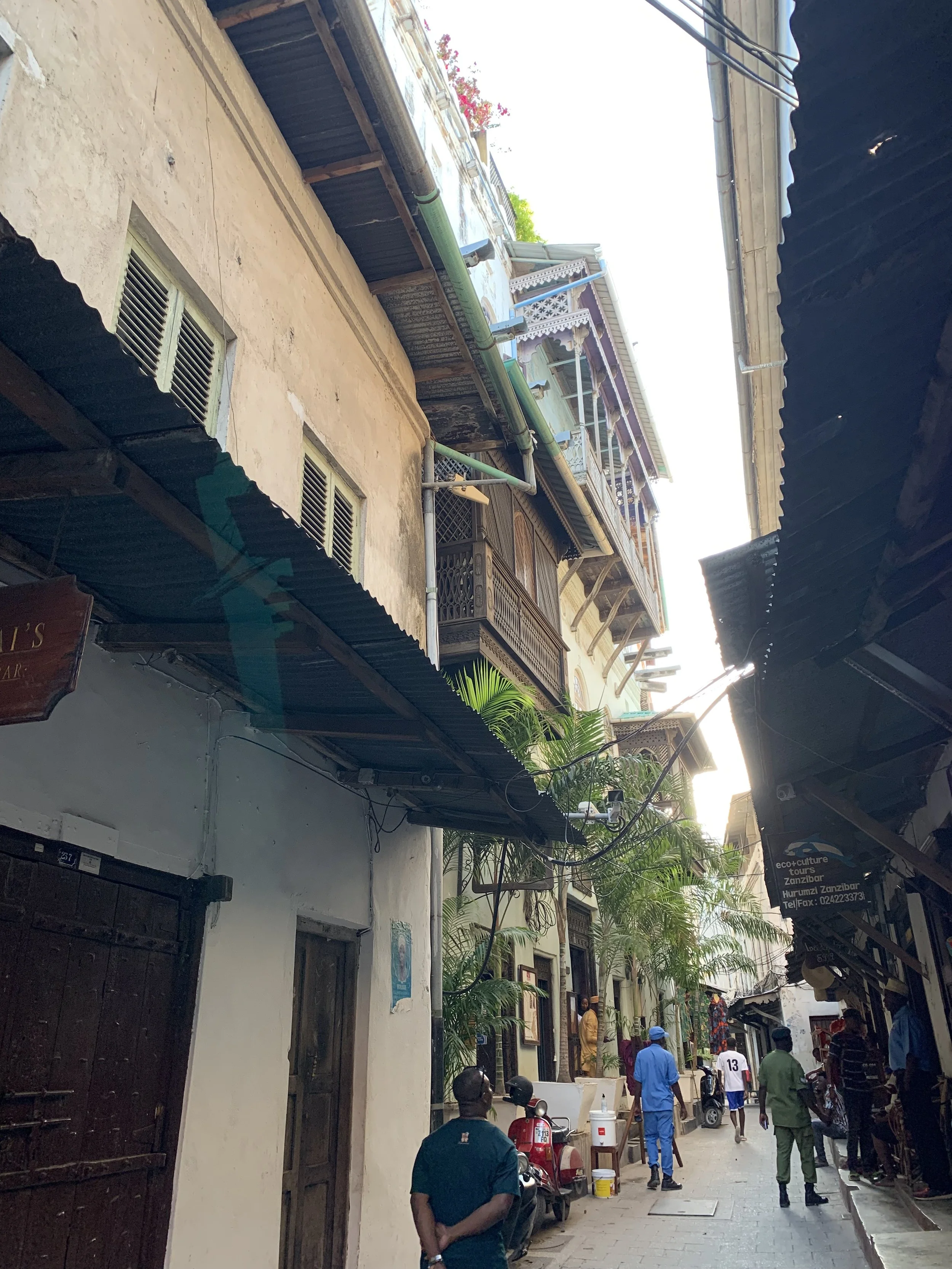 IMG_0106.jpeg