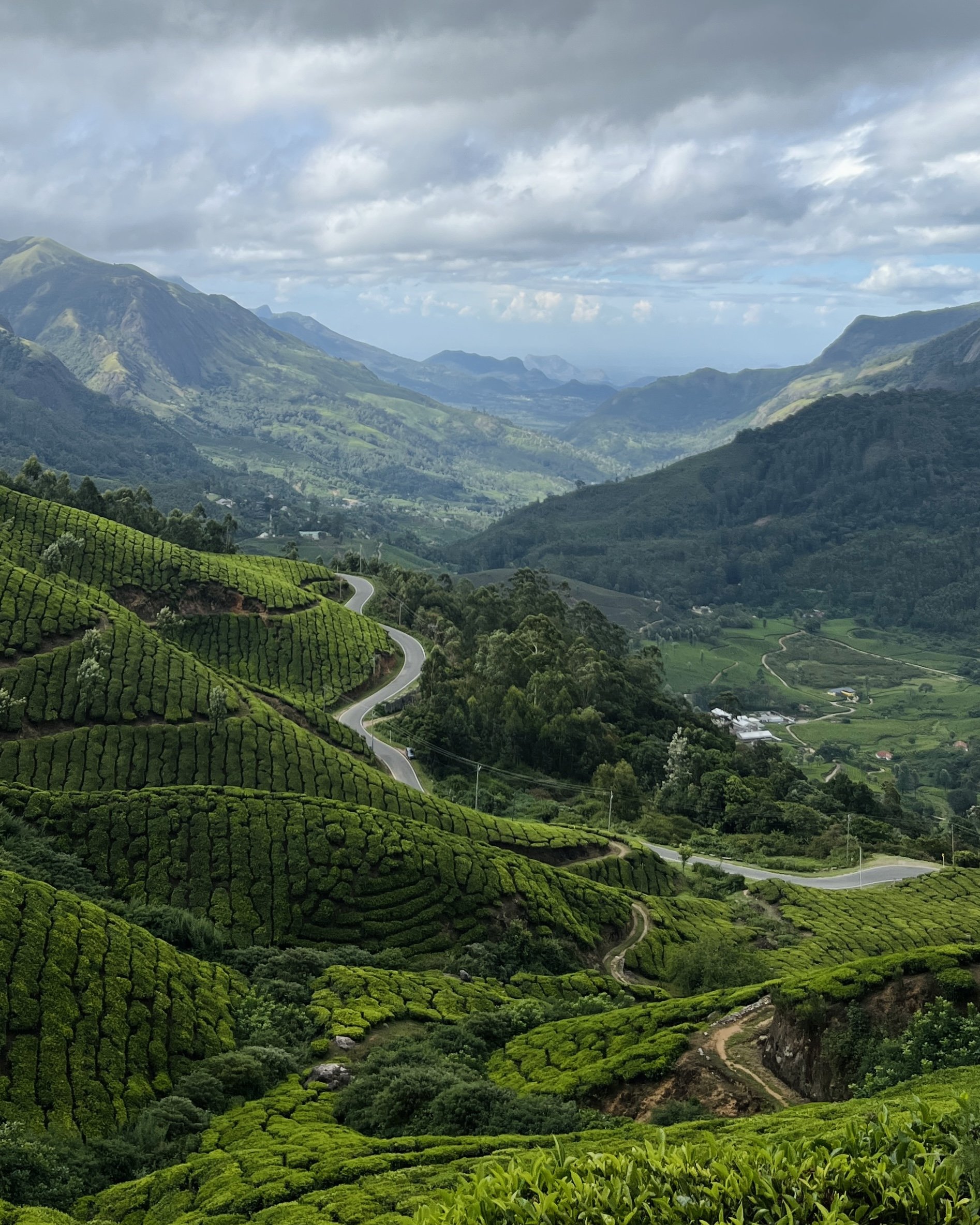 Munnar Route Drive.jpg