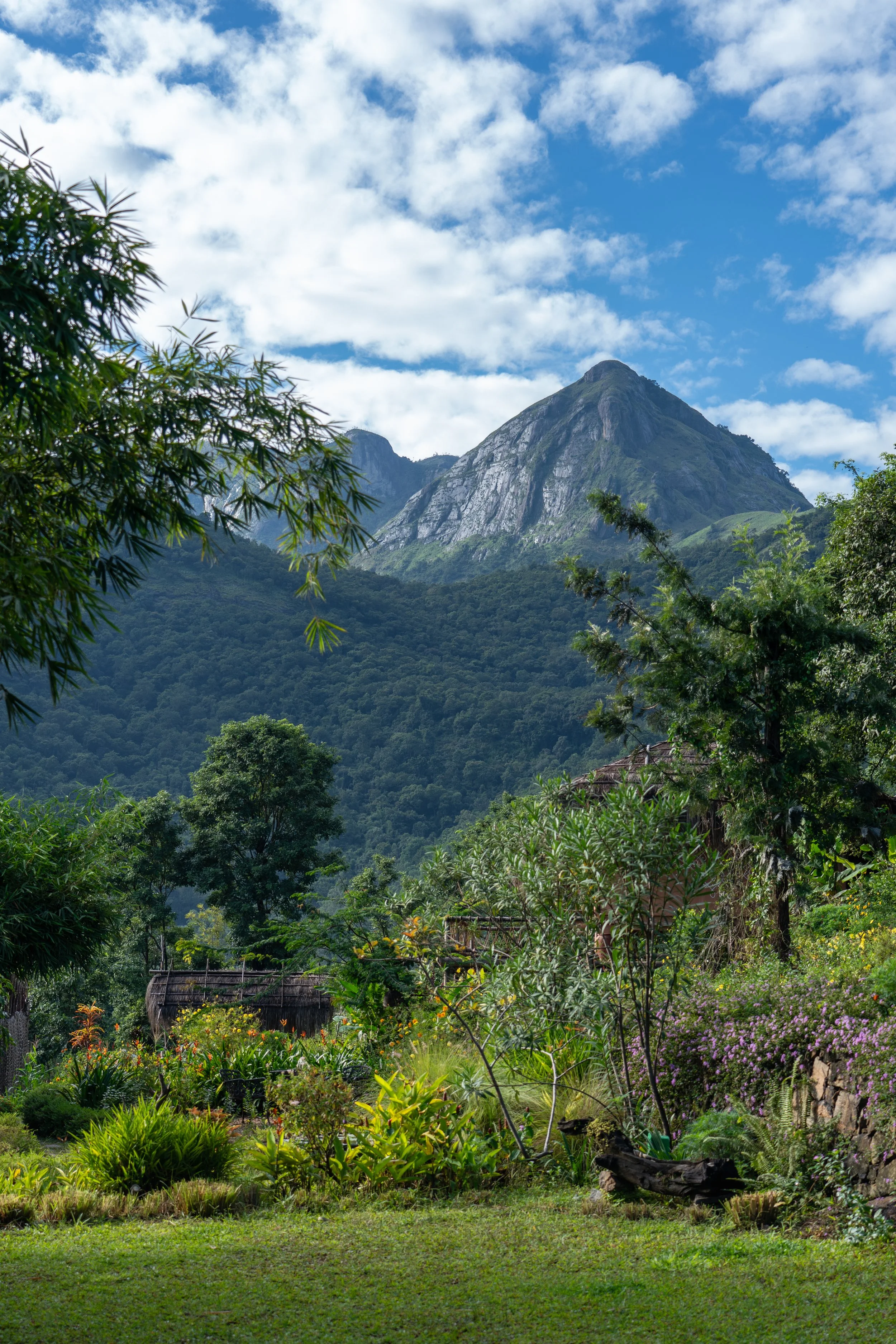 The Wild Within ~ A Five Elements Journey                                                  Yoga &amp; Ayurveda Retreat
