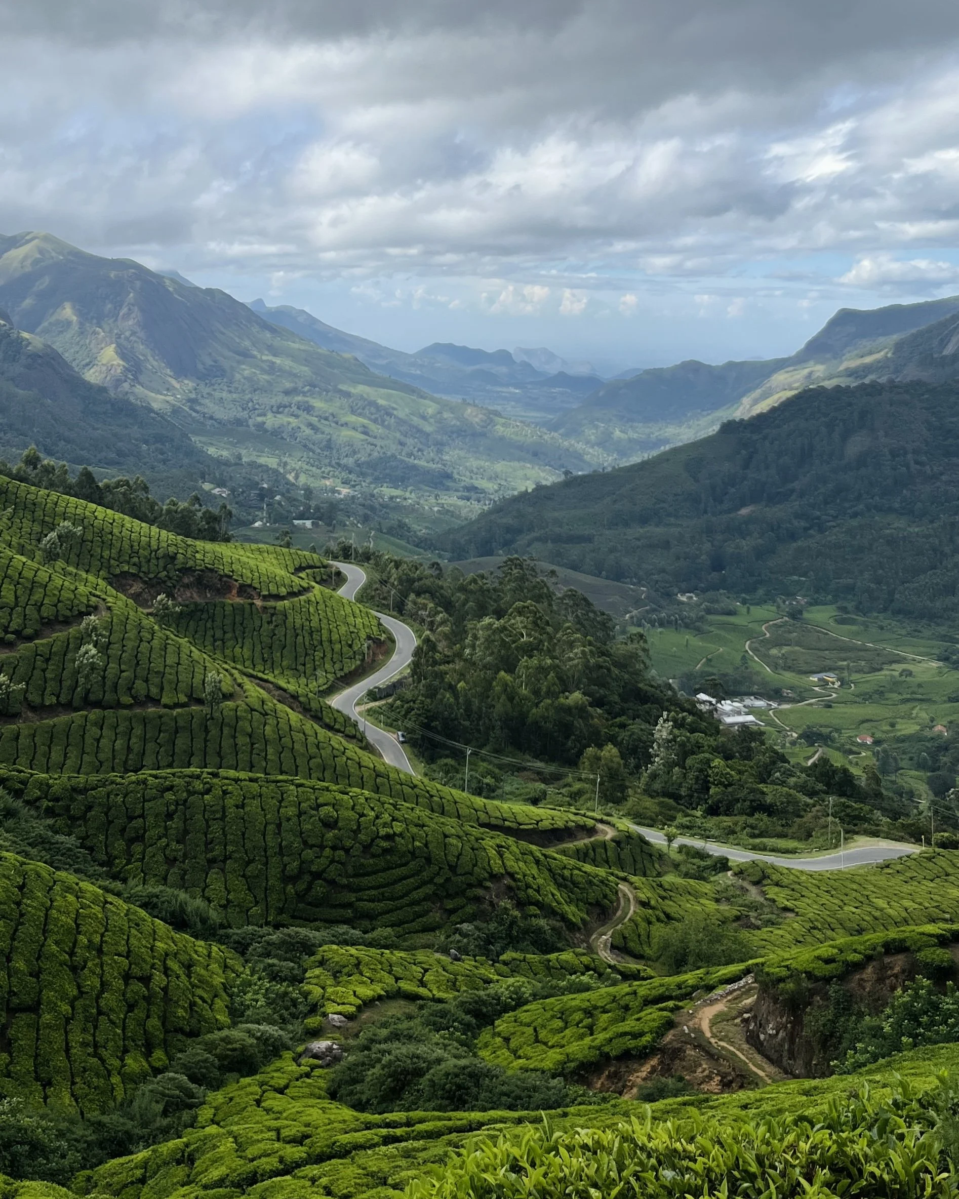 Munnar Route Drive.jpg