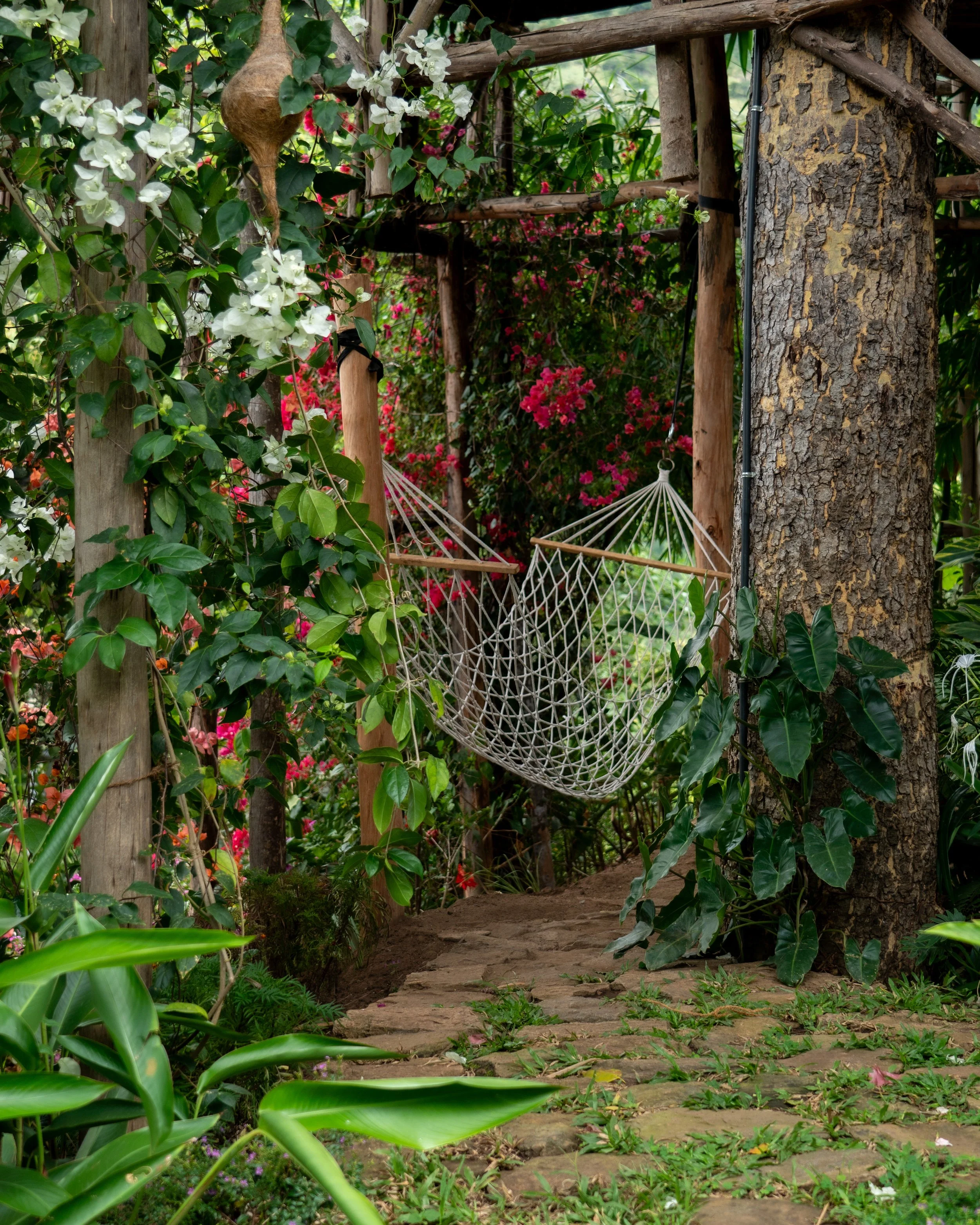 hammock in the private garden.jpg