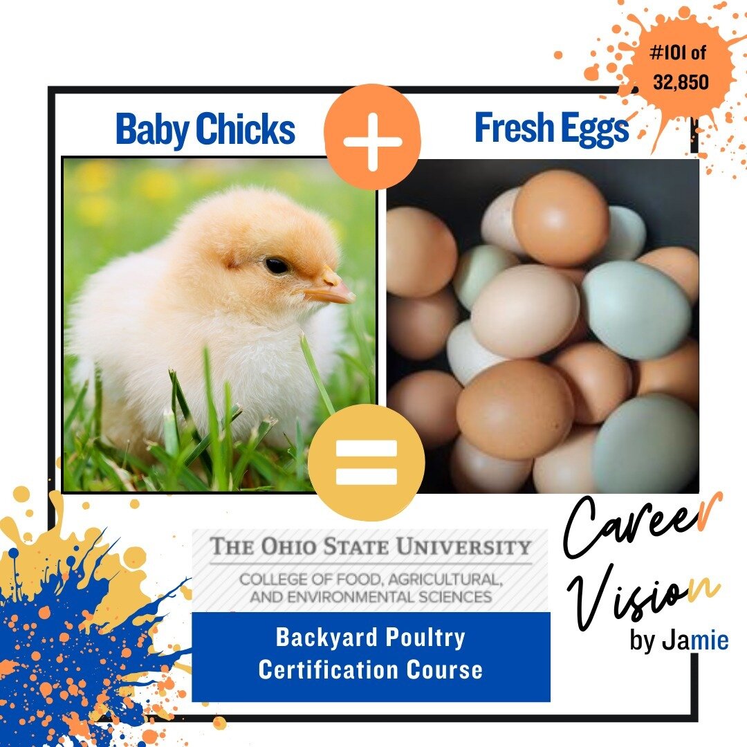 Saw a statistic yesterday that more than 80% of Chicks and Bunnies given as gifts at Easter are likely to die or be surrendered. If you adopted a chick or are thinking about it, check out this super quick certificate you can do for $25 to learn more 