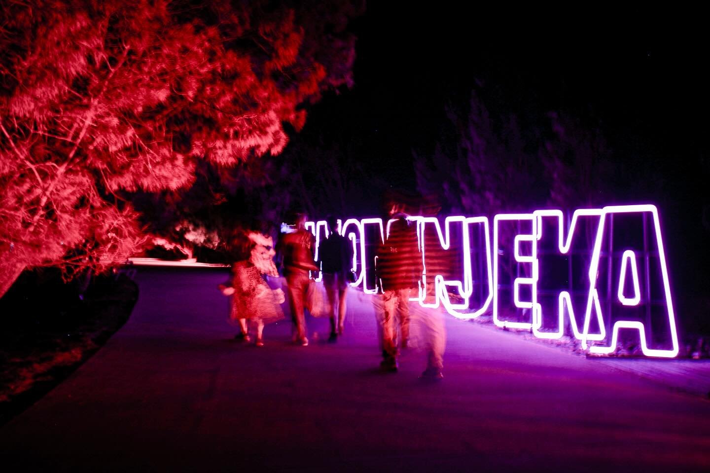 The brief; hero the light, the land and the story behind it. Not just how it looks by why it matters. Context over crowd. 

📸: @tommycreative_ for @royalbotanicgardensvic at @lightfallau