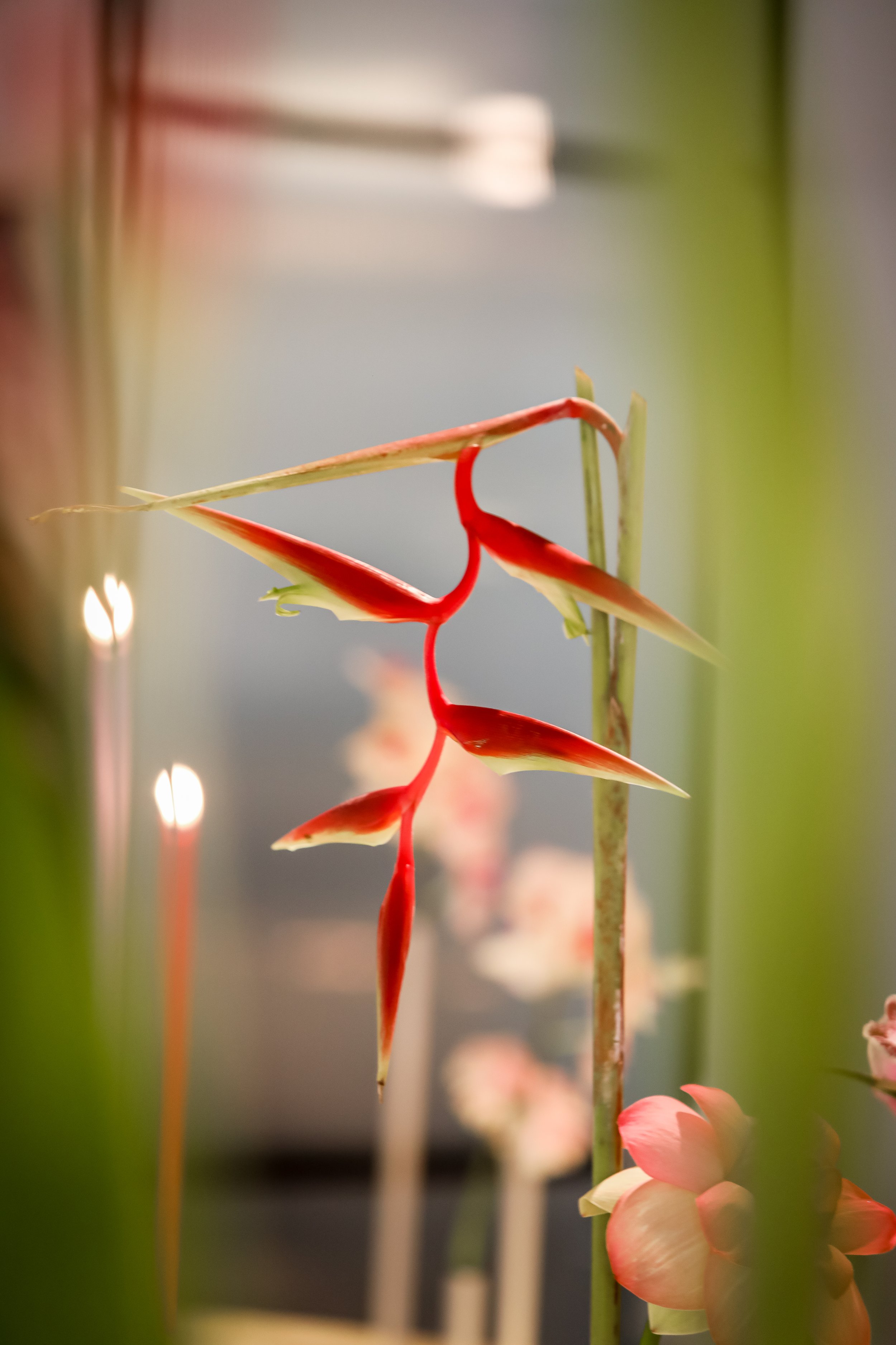 TOMMYCREATIVE-DINNERPARTY-TSC34.jpg