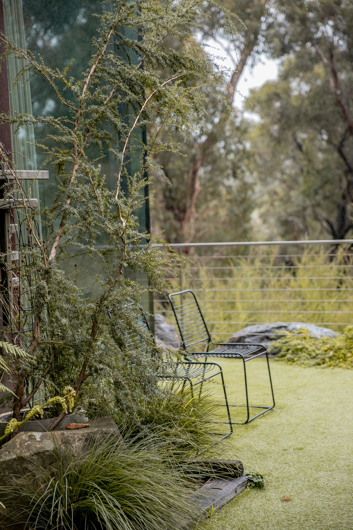 Callingee-Tommycreative.com.au-18.jpg