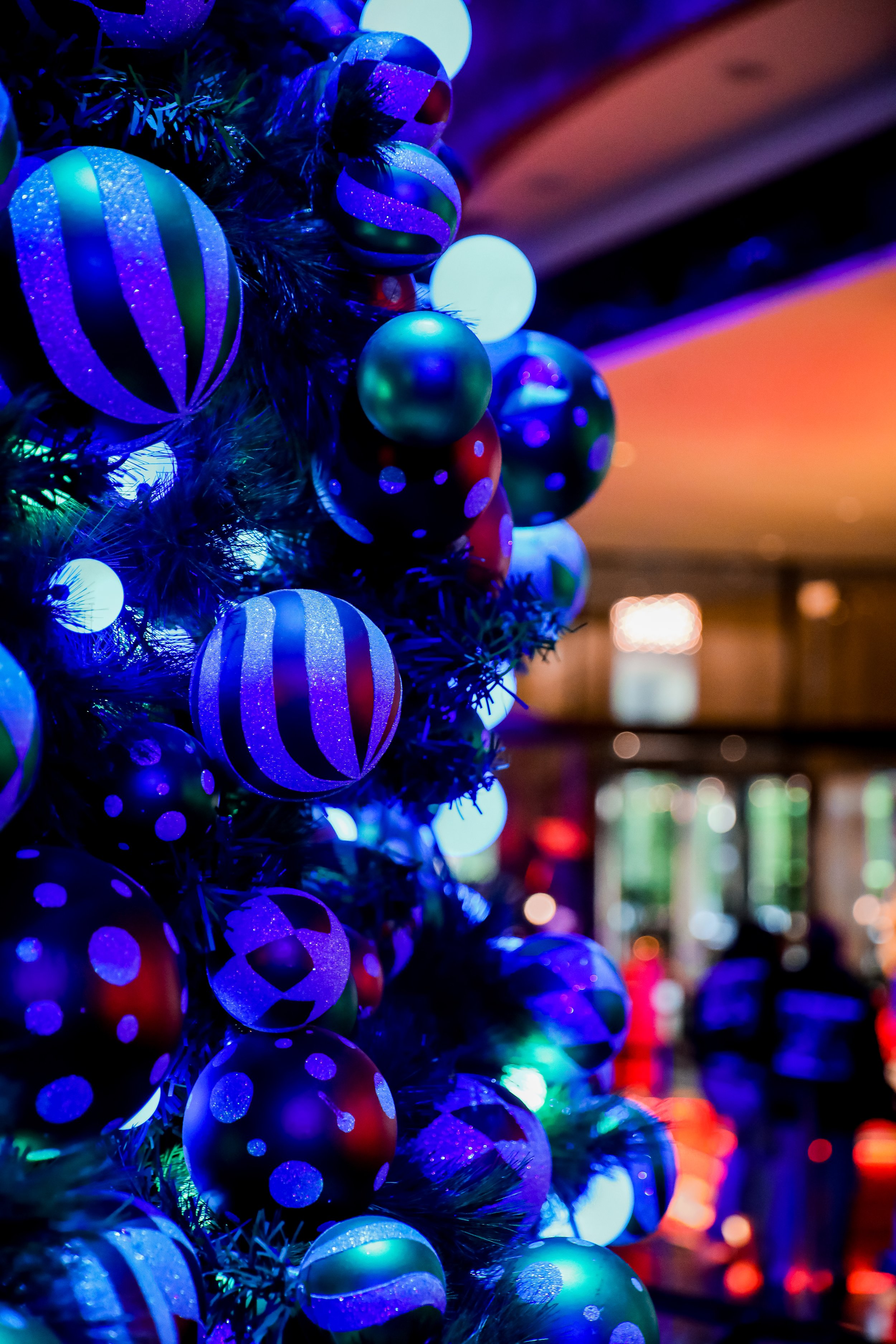 CROWN-CHRISTMAS-2024-44.jpg