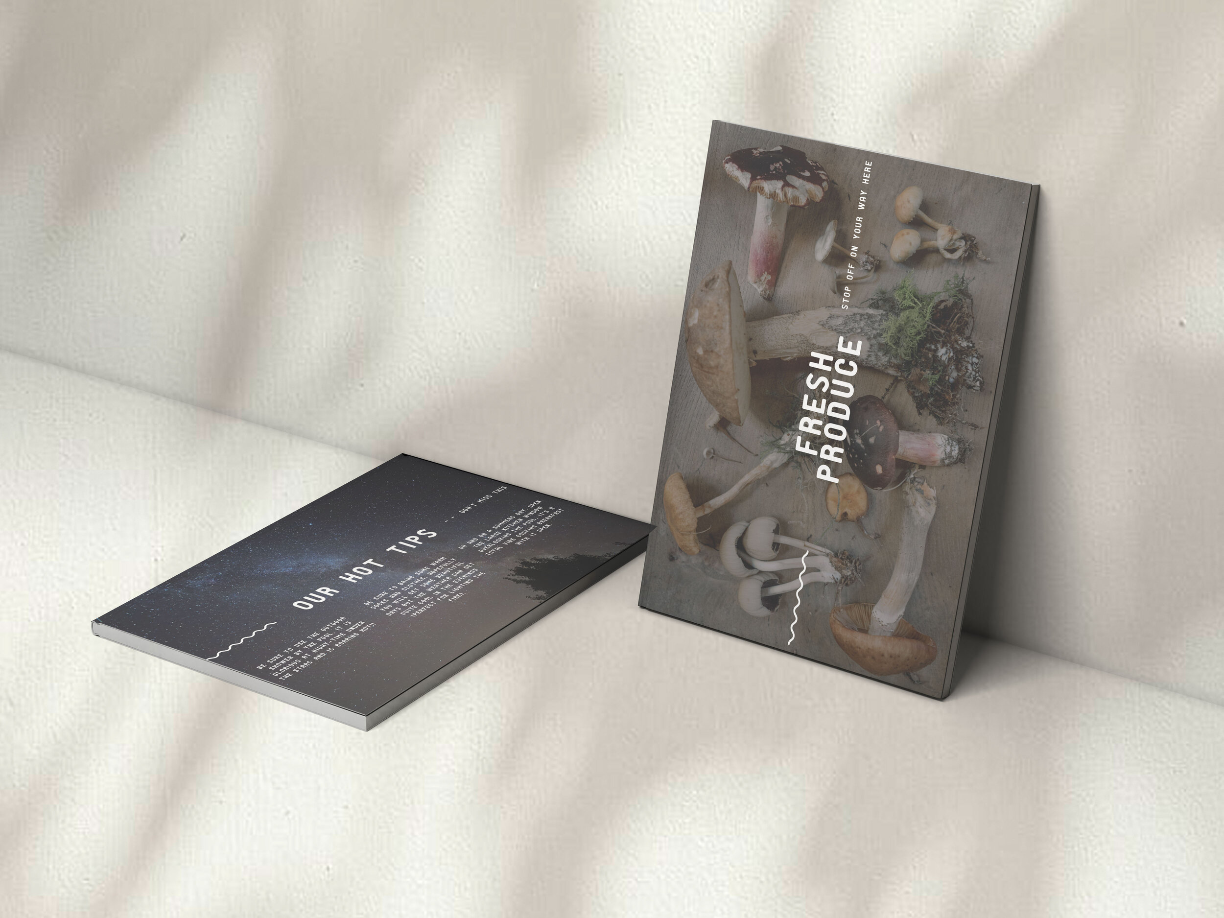 a-Two-Magazine-Cover-Mockups.jpg