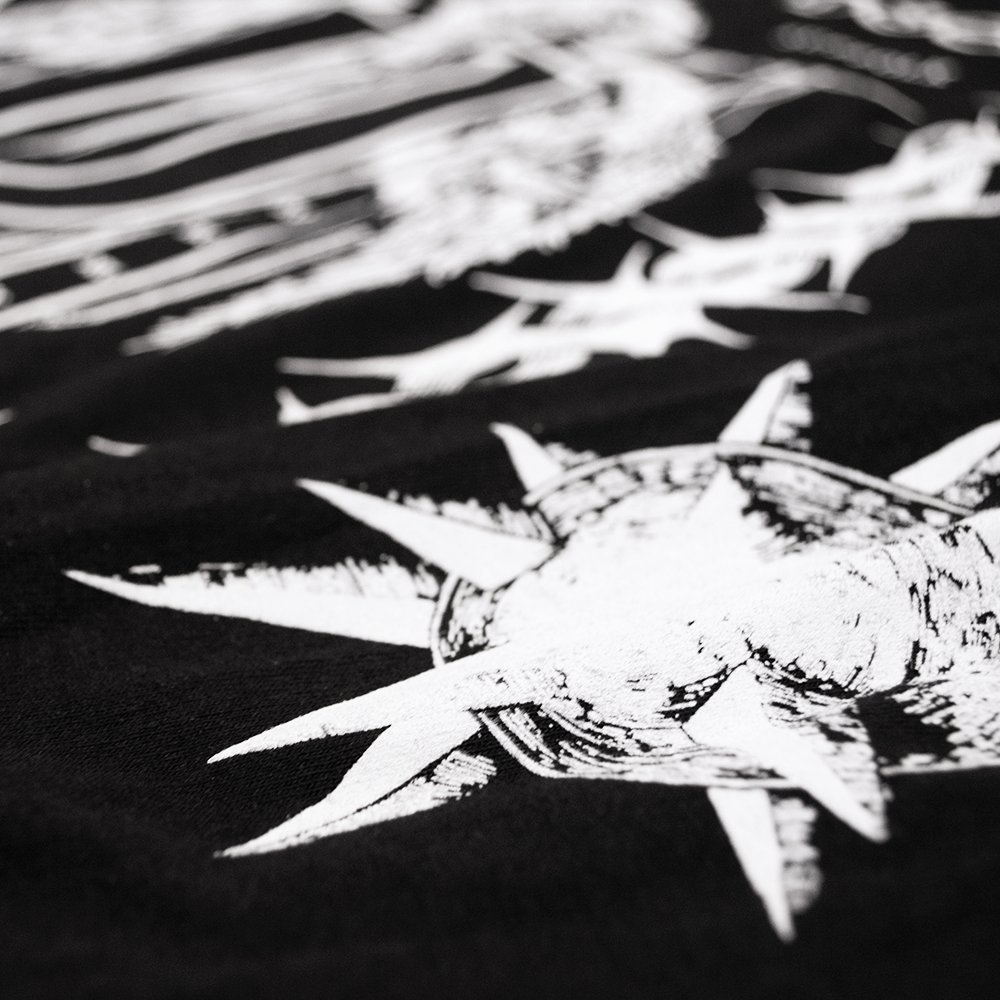 ENSIGN_LS_DETAIL_04.png