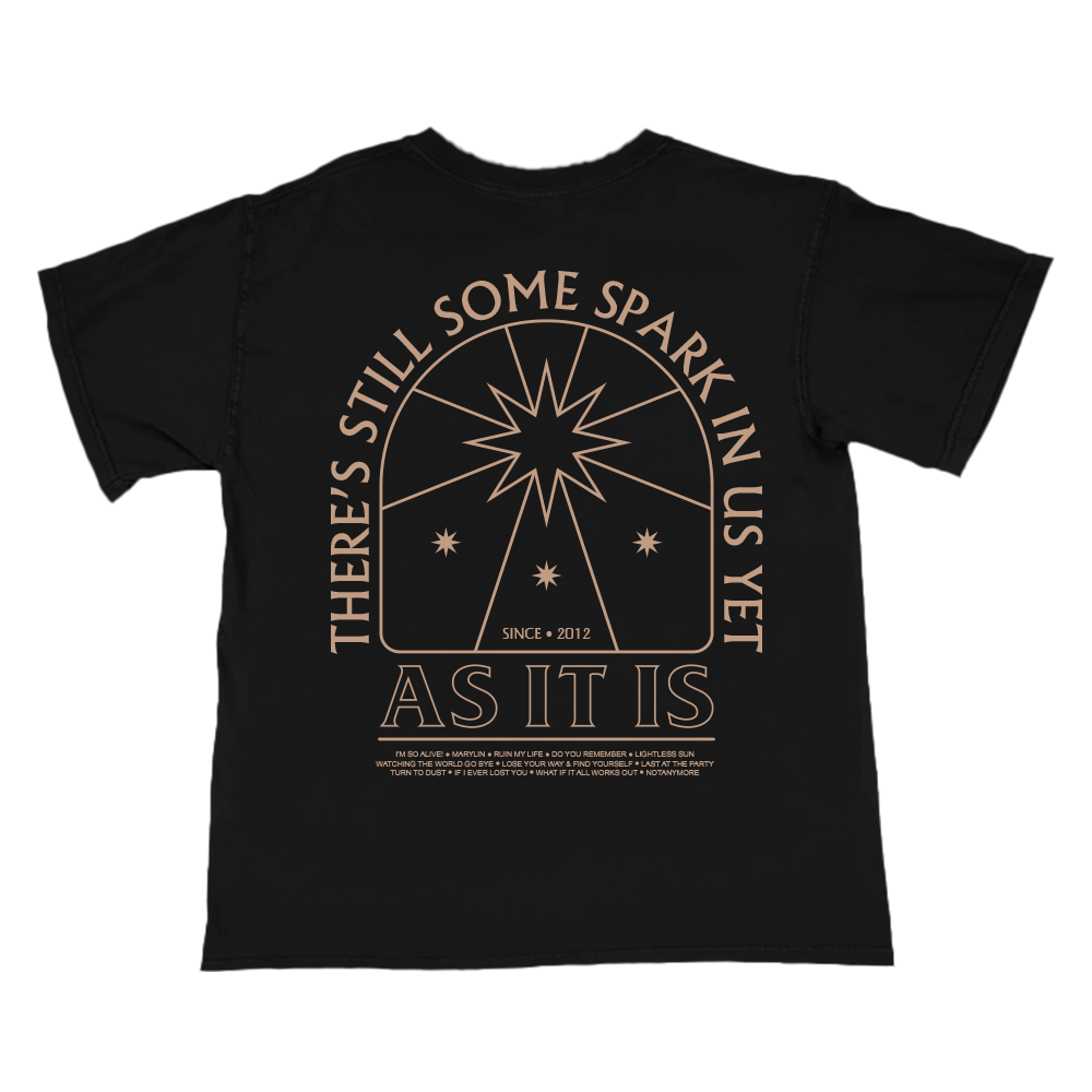 AIIV_SPARK_TEE_BACK.png
