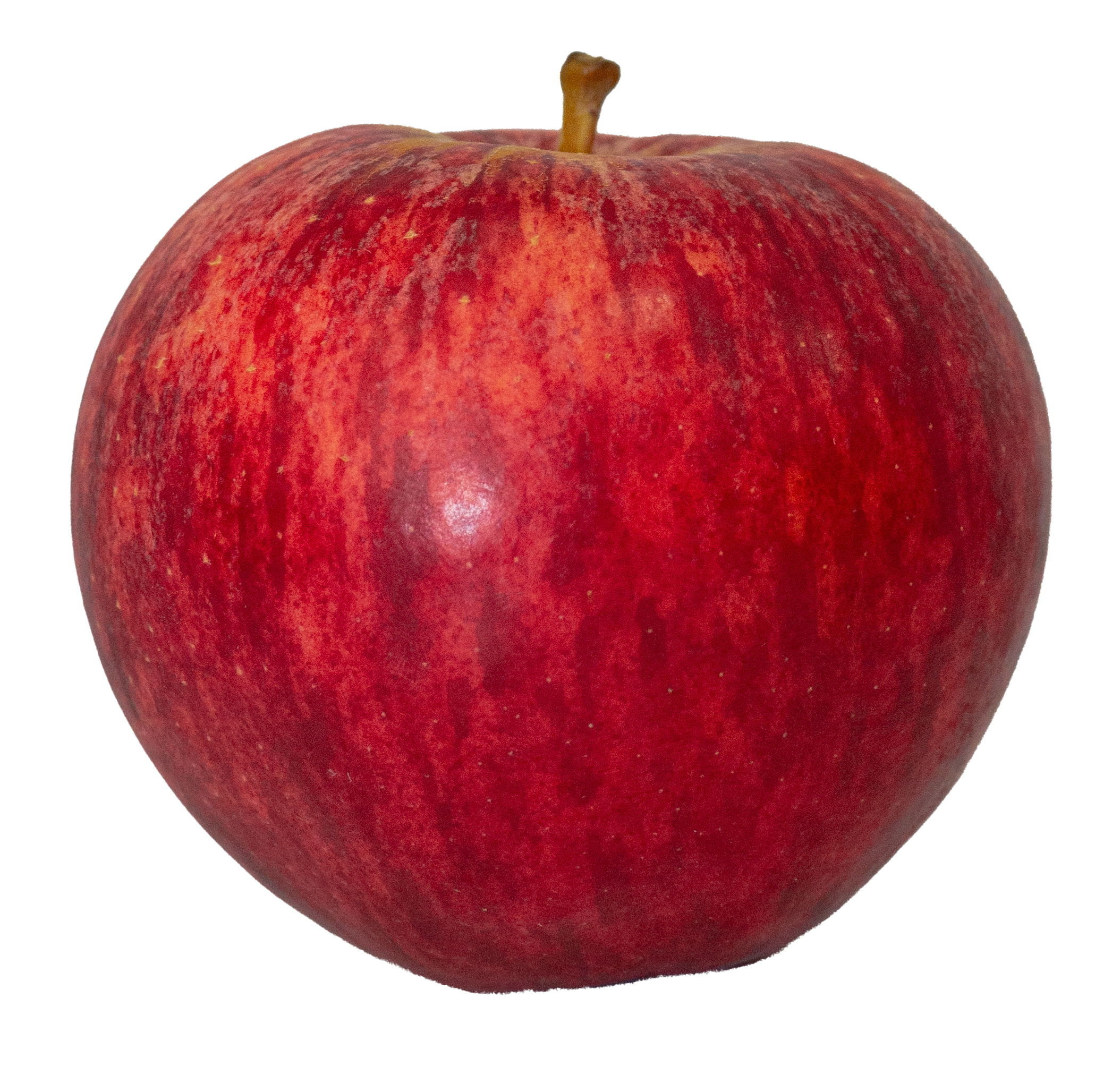 Galaxy.png