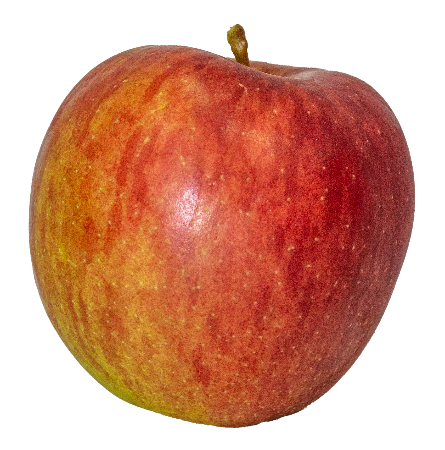 Braeburn Single 01.png