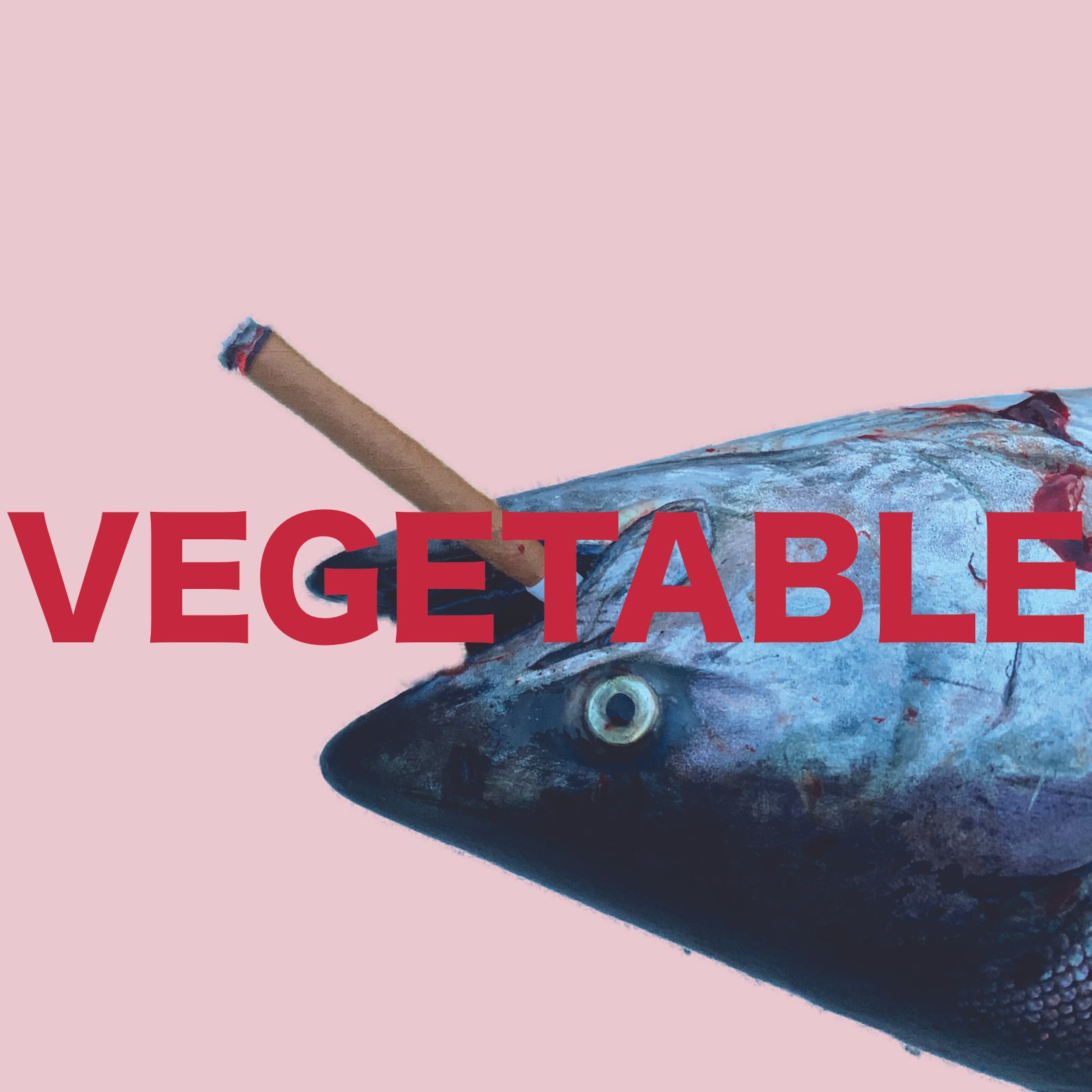Library - Vegetable