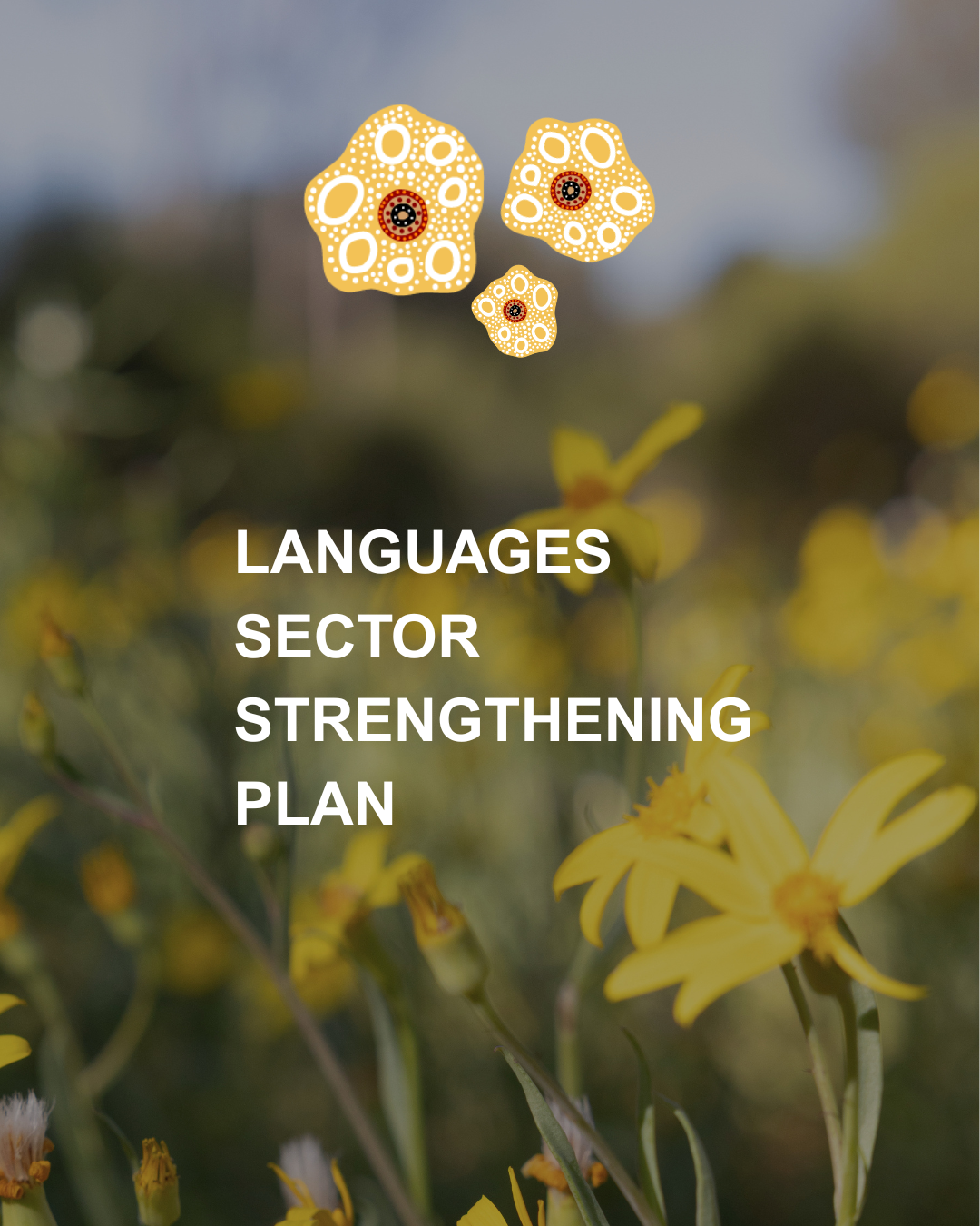 From Community Voices to a National Plan