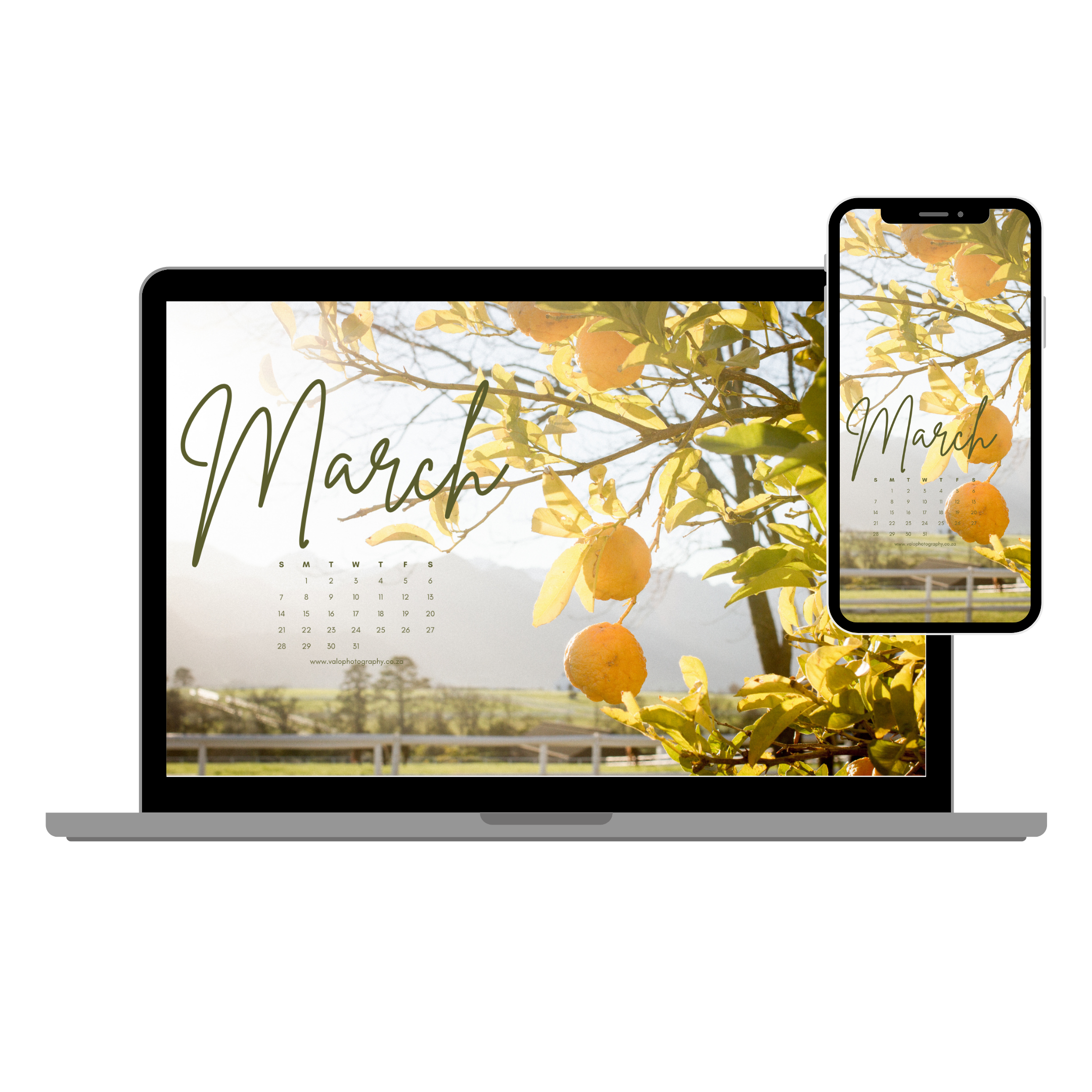 March 2021 Wallpapers