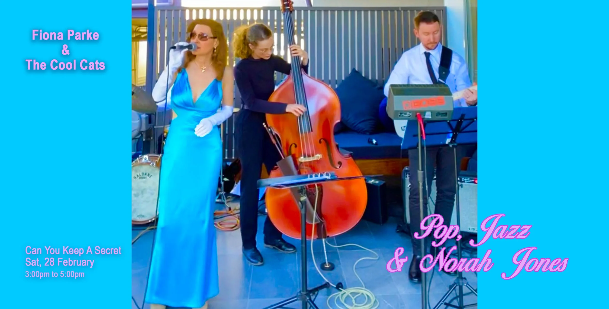 Fiona Parke &amp; the Cool Cats - Pop, Jazz &amp; Norah Jones