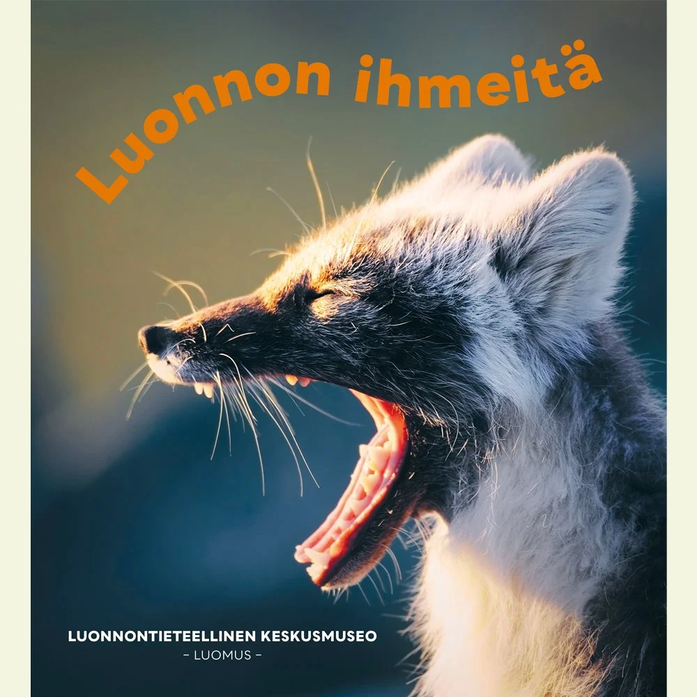 Ulkoasun suunnittelu ja taitto / esite