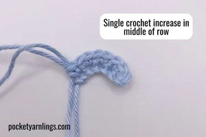 15 different detailed Ways on How to Increase in Crochet — Pocket ...