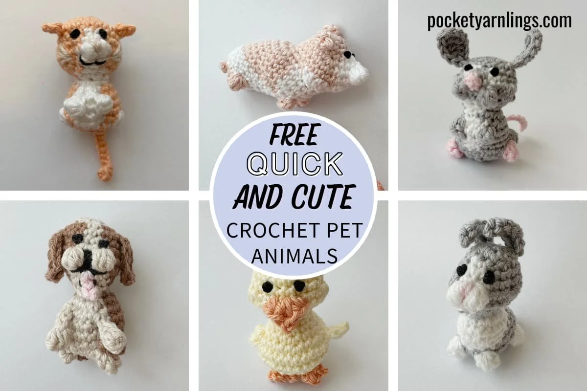easy crochet pet patterns