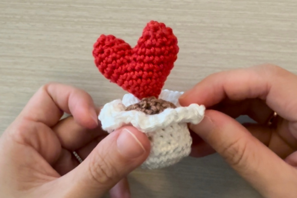 easy crochet heart plant