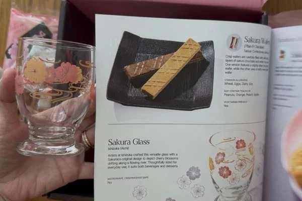 sakura glass inside snack box subscription