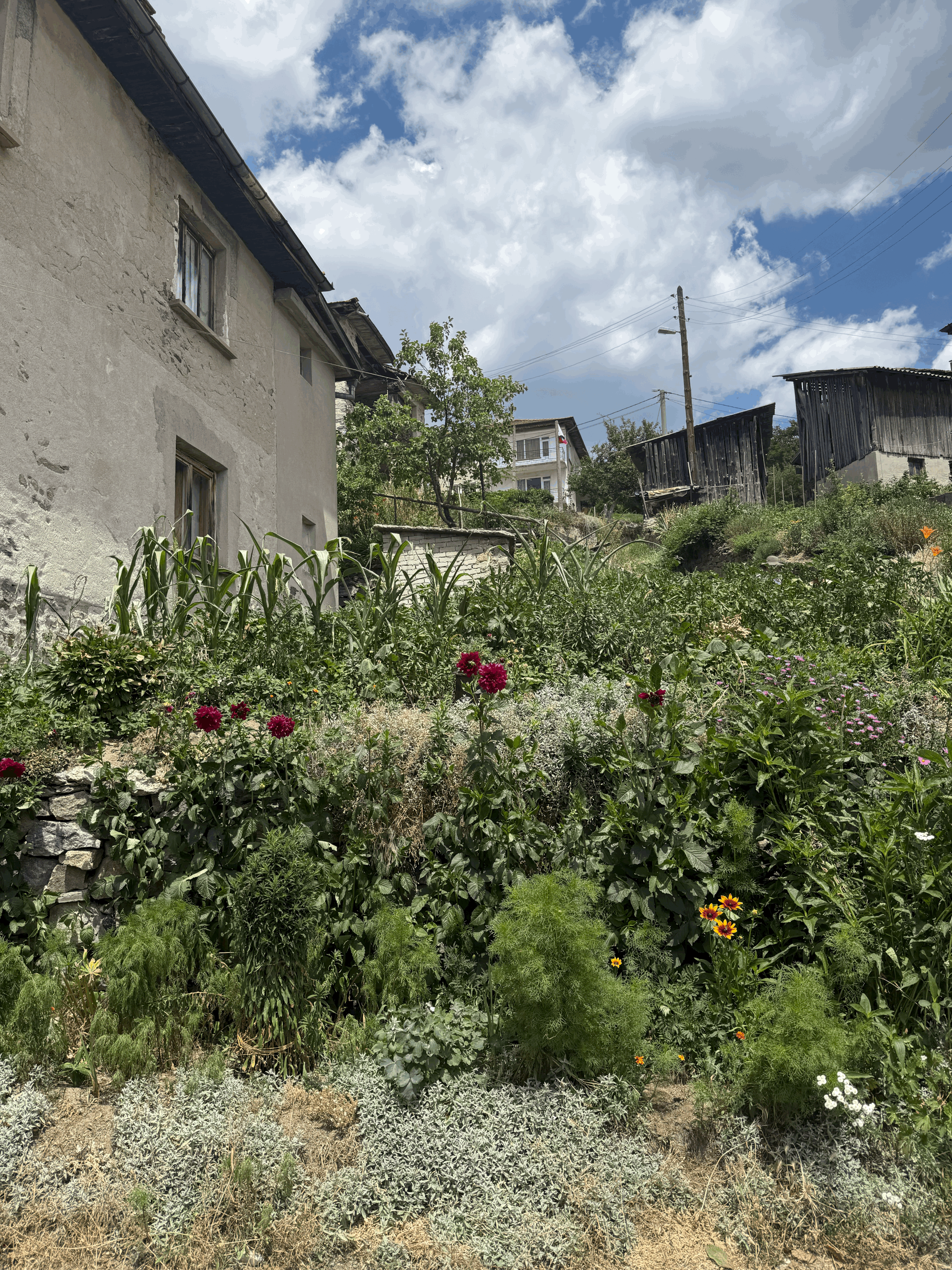 Ogrodnik i śmierć - recenzja najnowszej książki Georgiego Gospodinowa