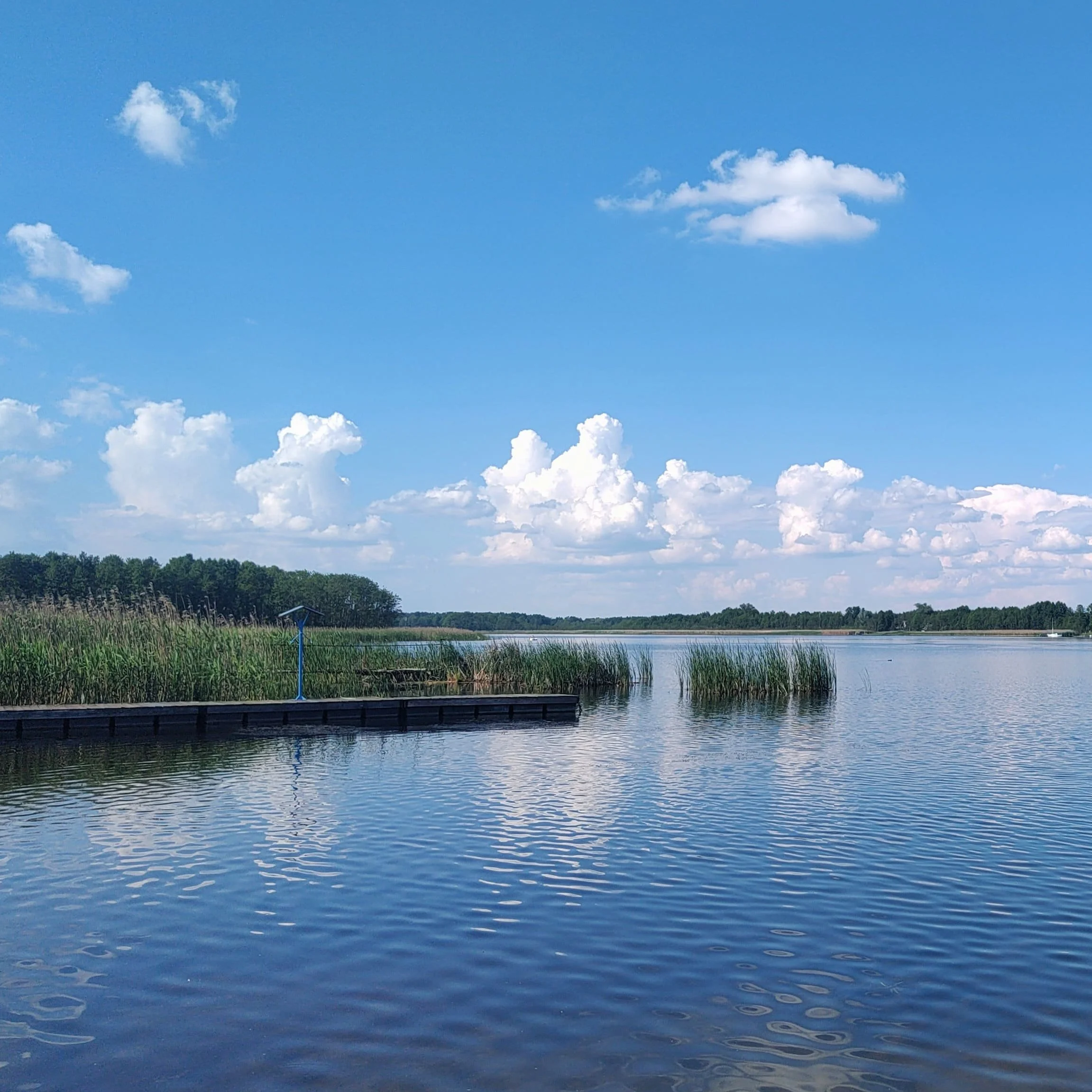 Granica między człowiekiem a naturą – ekokrytyczna analiza noweli Mor Đura Sudety