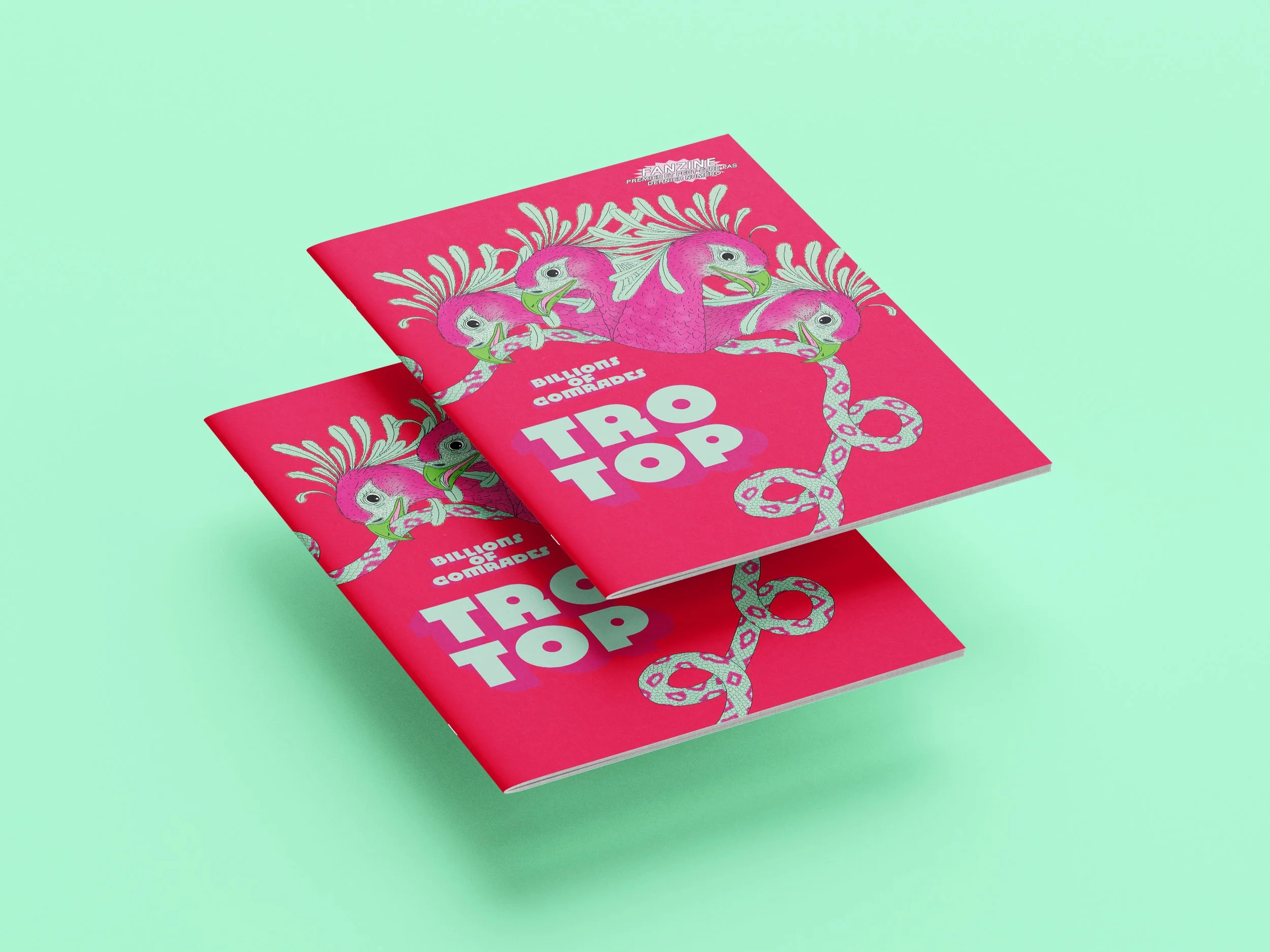 TROTOP FANZINE_1.jpg