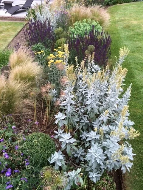 Colorful garden bed with various plants and flowers, including purple, yellow, green, and silver foliage, adjacent to a lawn.
