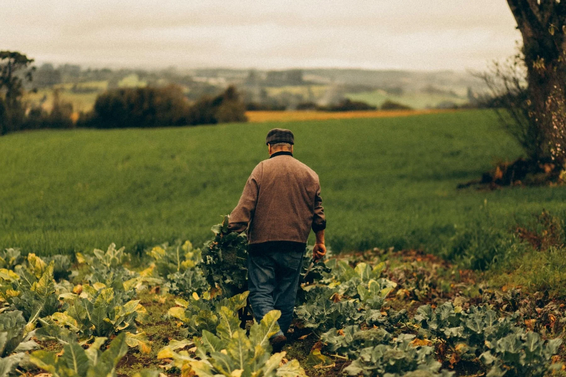 Why supporting local food matters.