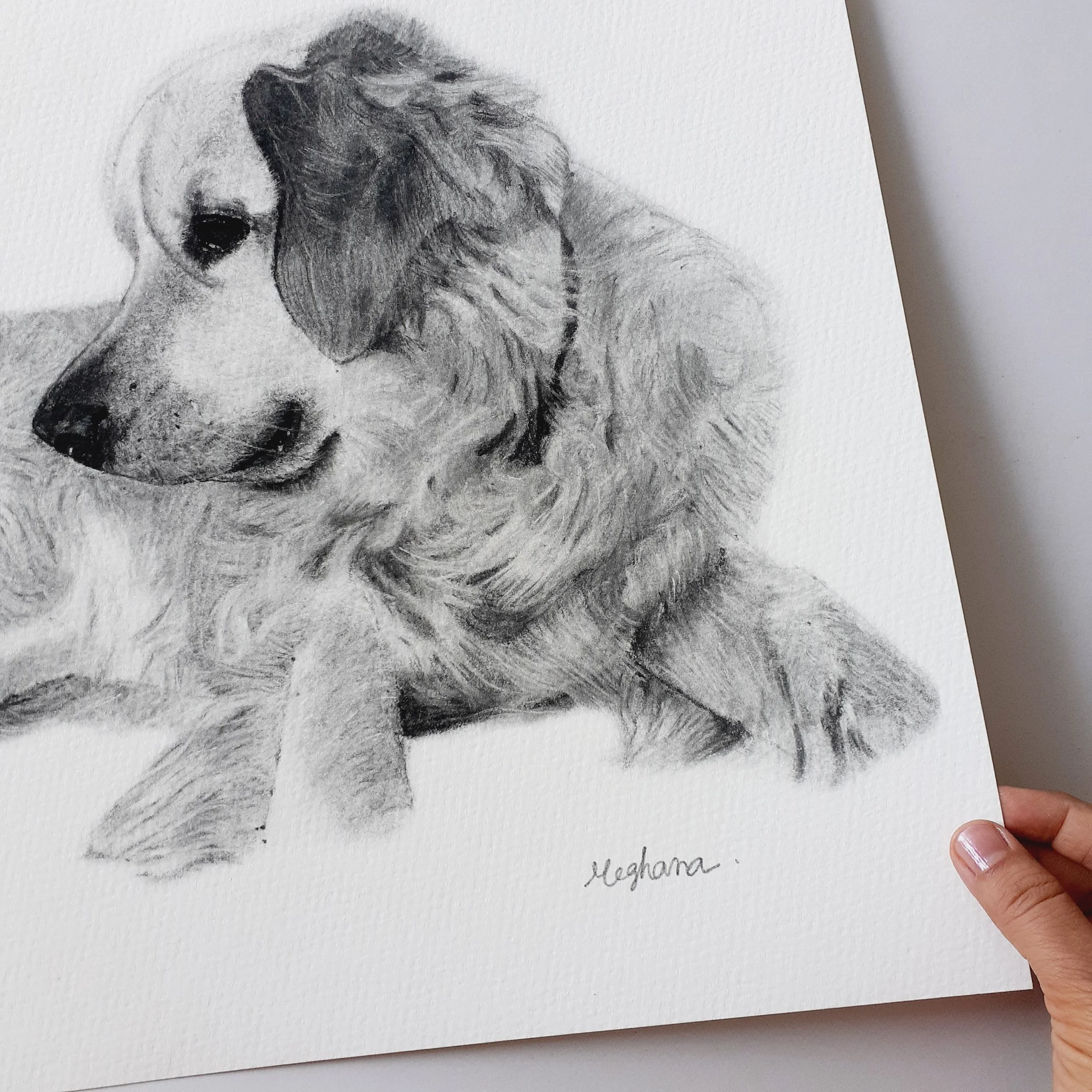 Black and White Dog Wall Art