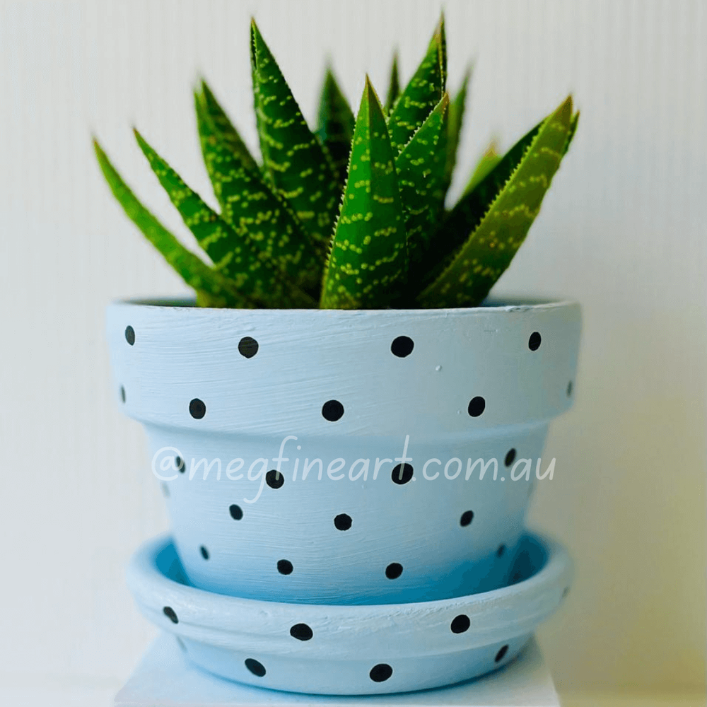 Hand-painted planter with drainage hole and saucer — Meg Fine Art