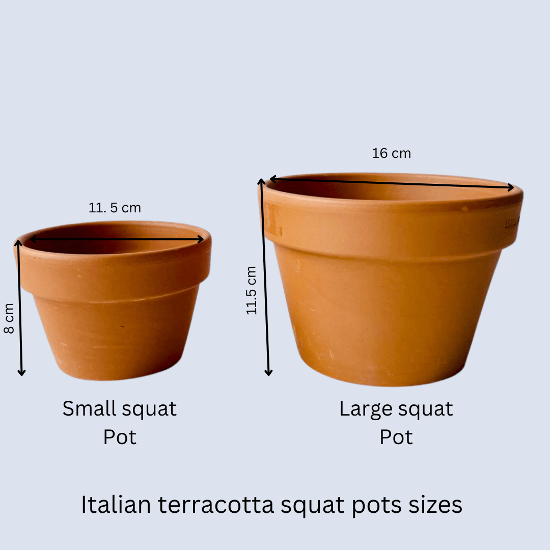 squat pot sizes.png