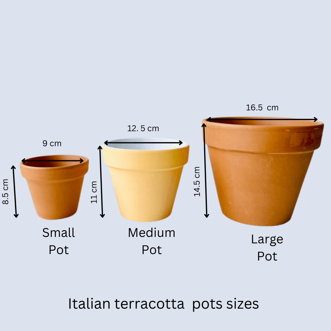 traditional pot sizes.png
