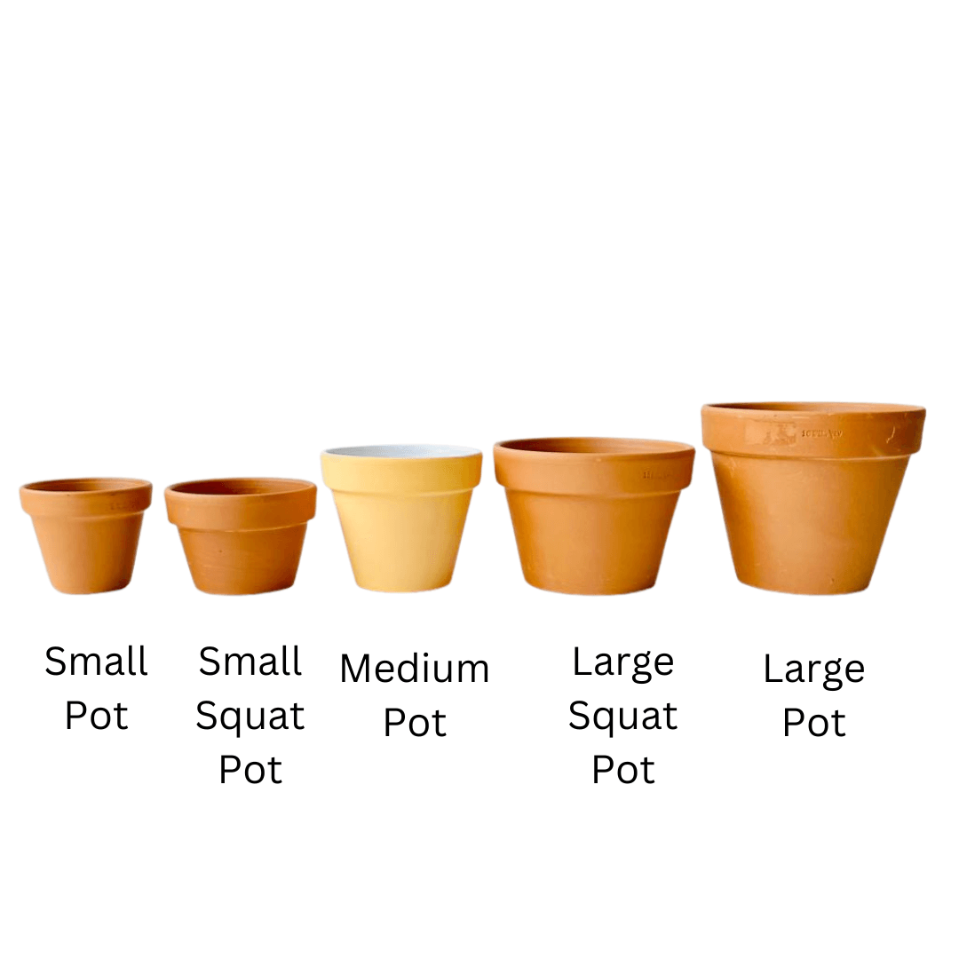 pots sizes.png